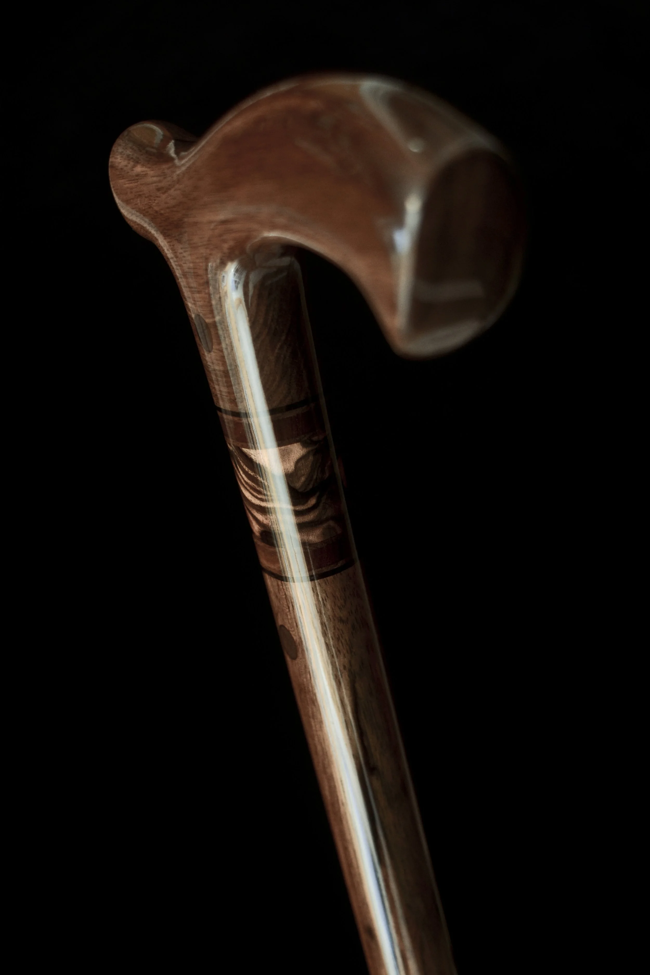 Kalimantan Ebony 4.jpg