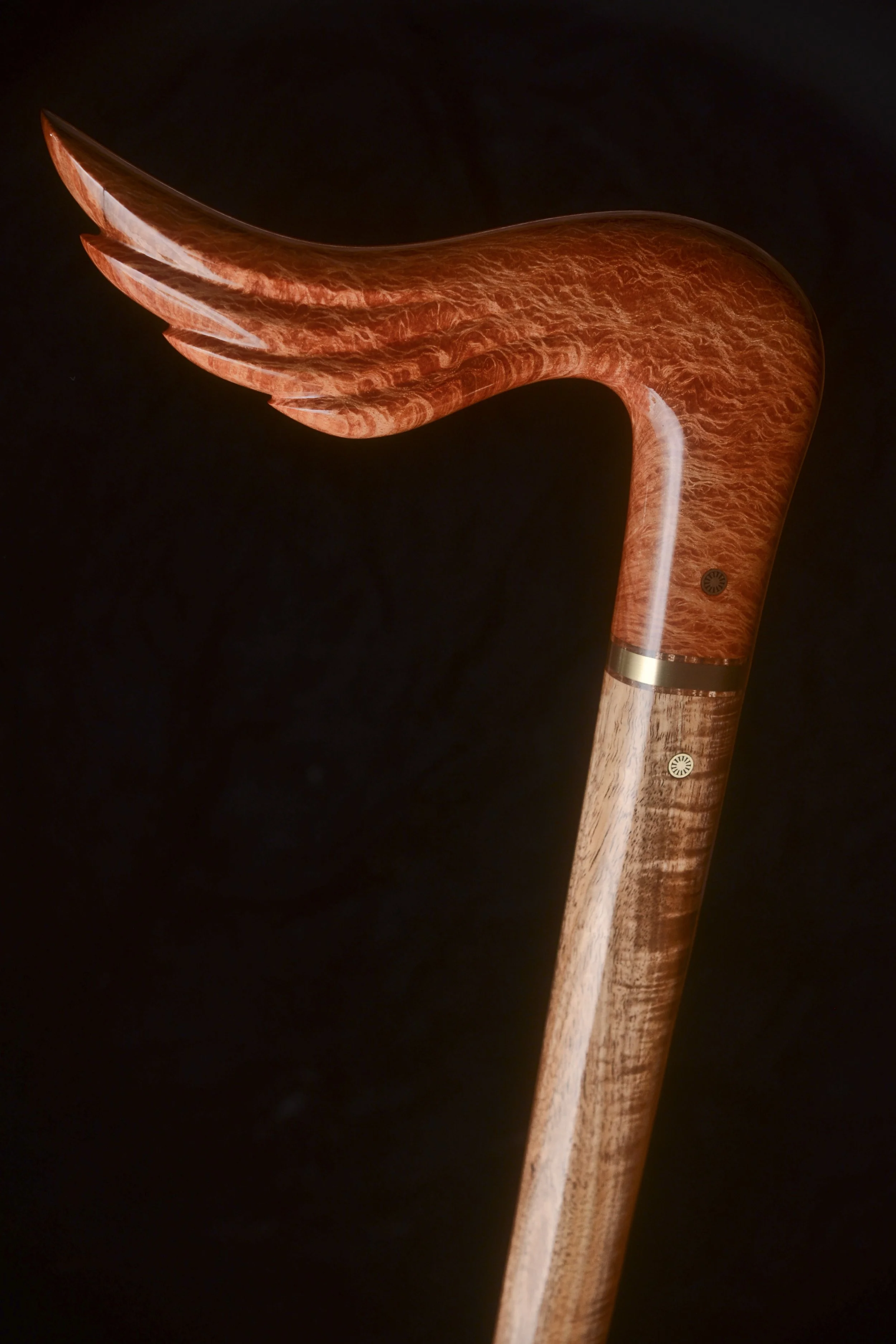 Sheoak, Tasmanian Blackwood 2.jpg