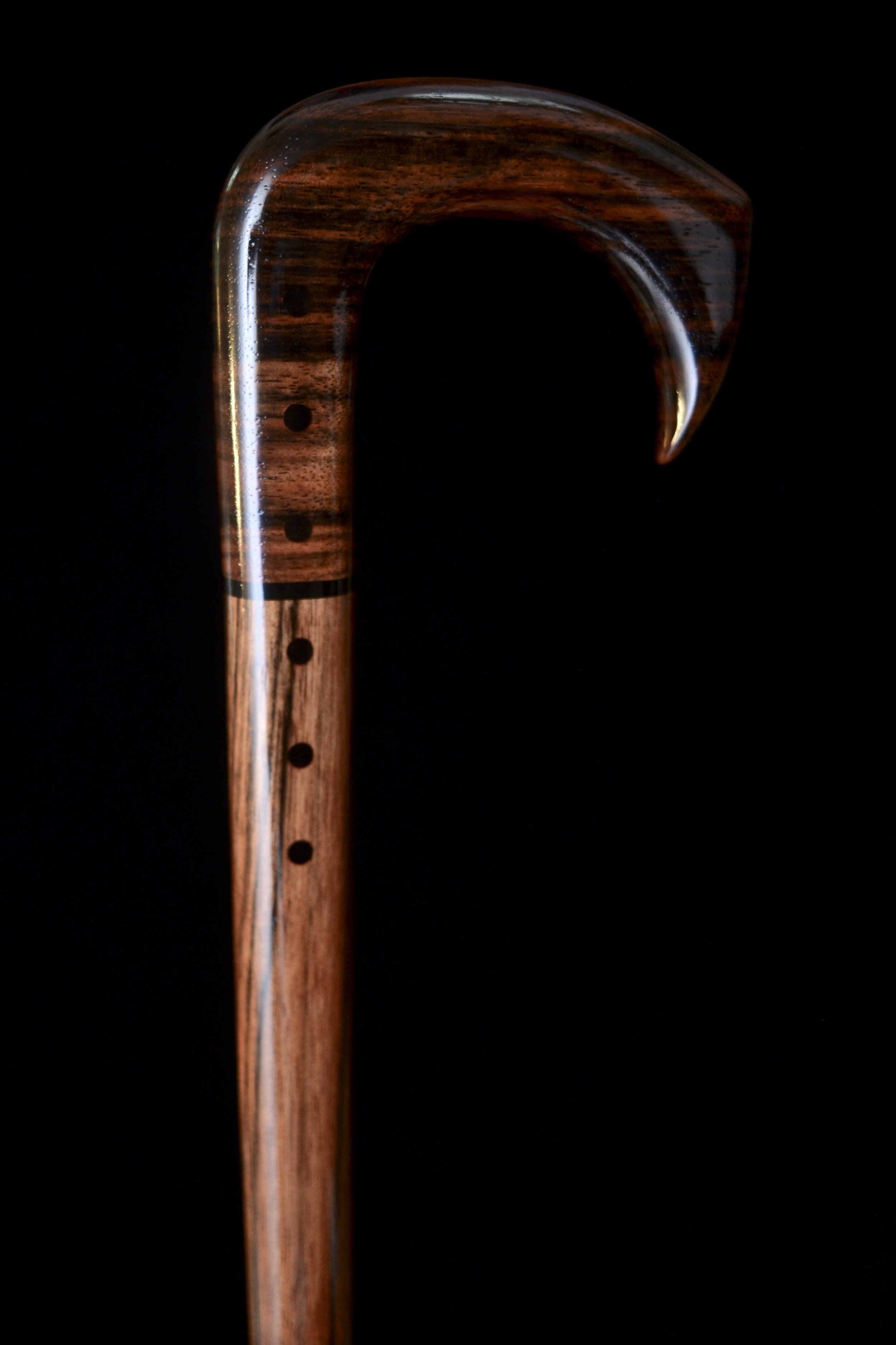 Ebony Talon 1.jpg