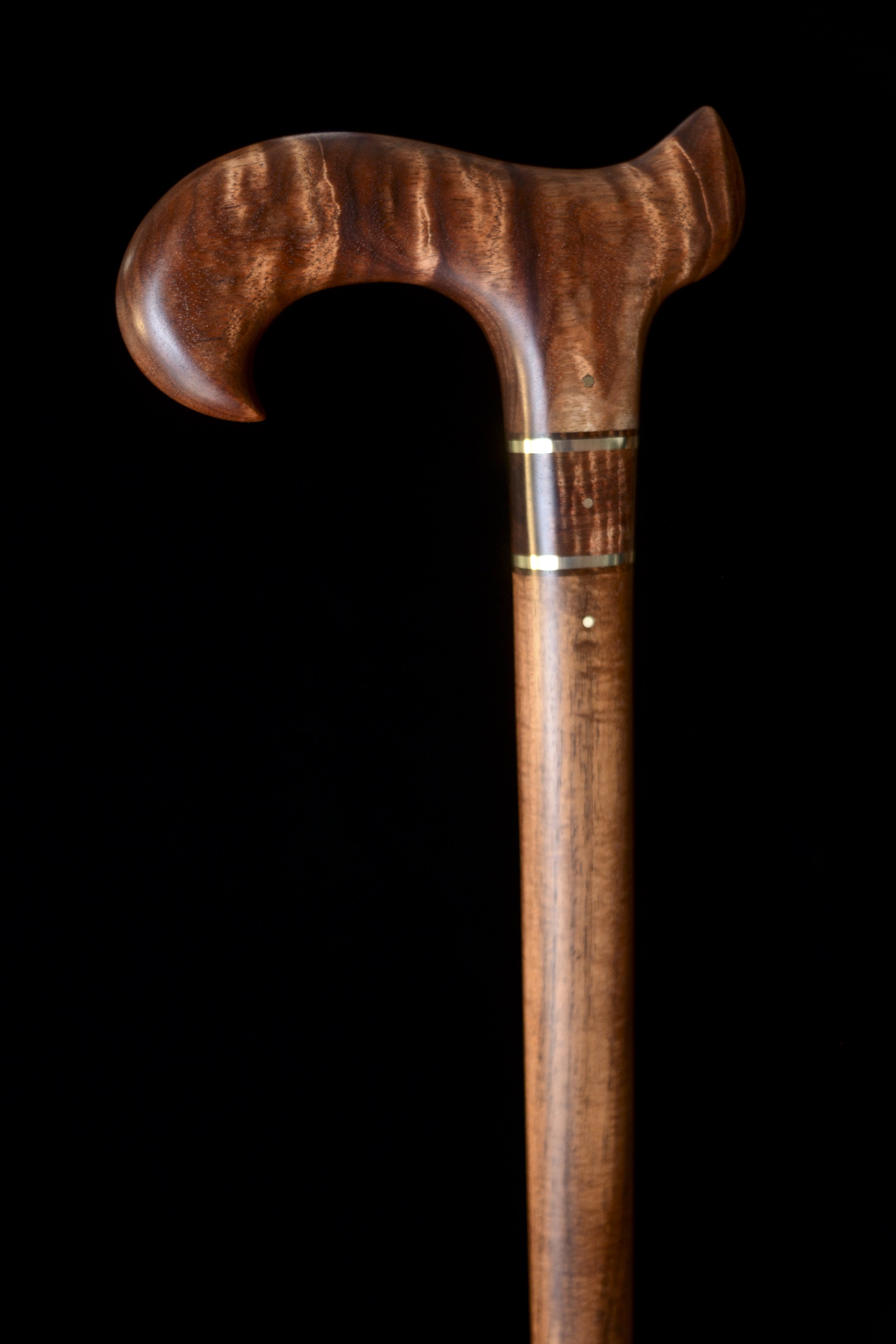 Tasmanian Blackwood, Tzalam 2.jpg