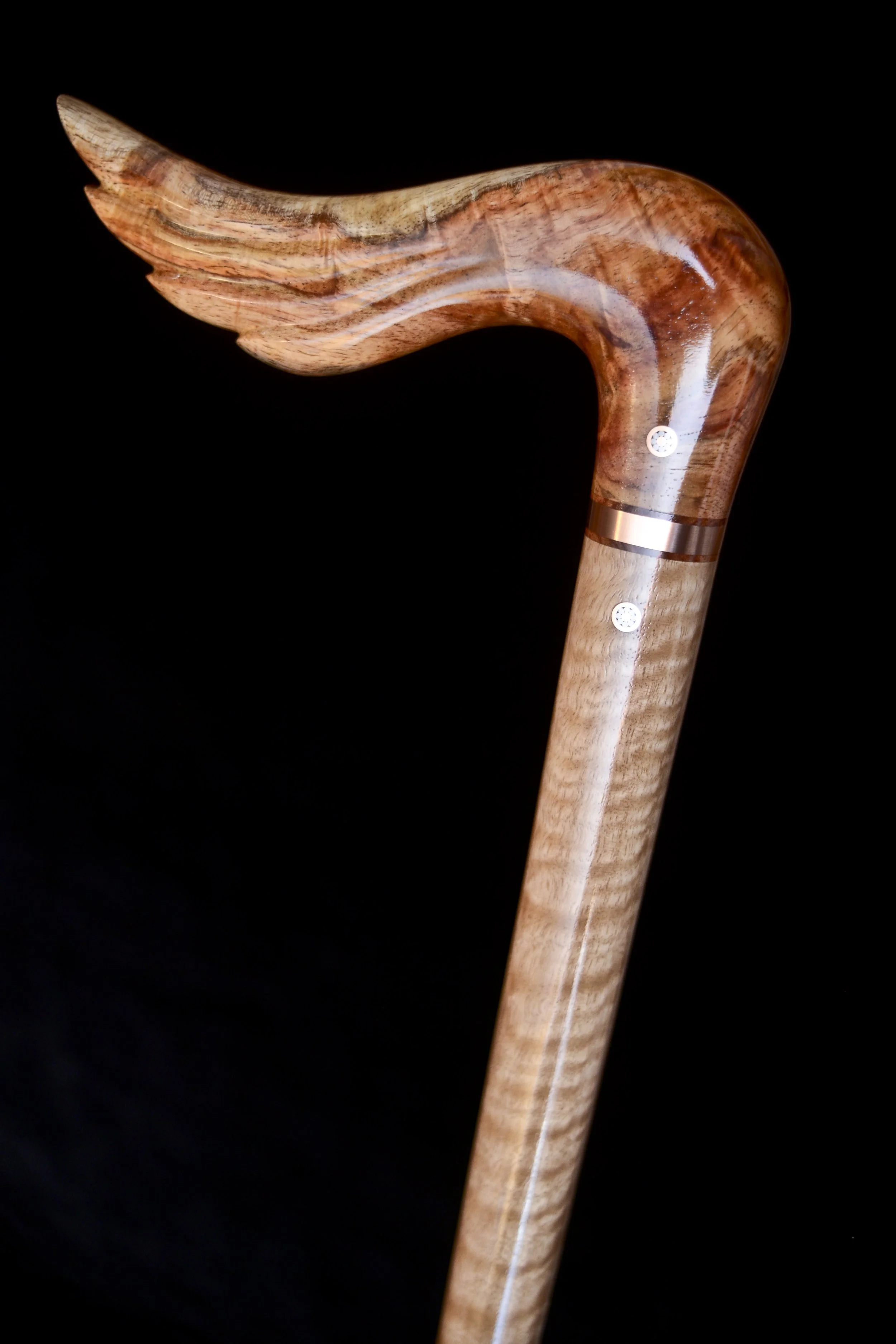 Hainan Rosewood, Eucalyptus 3.jpg