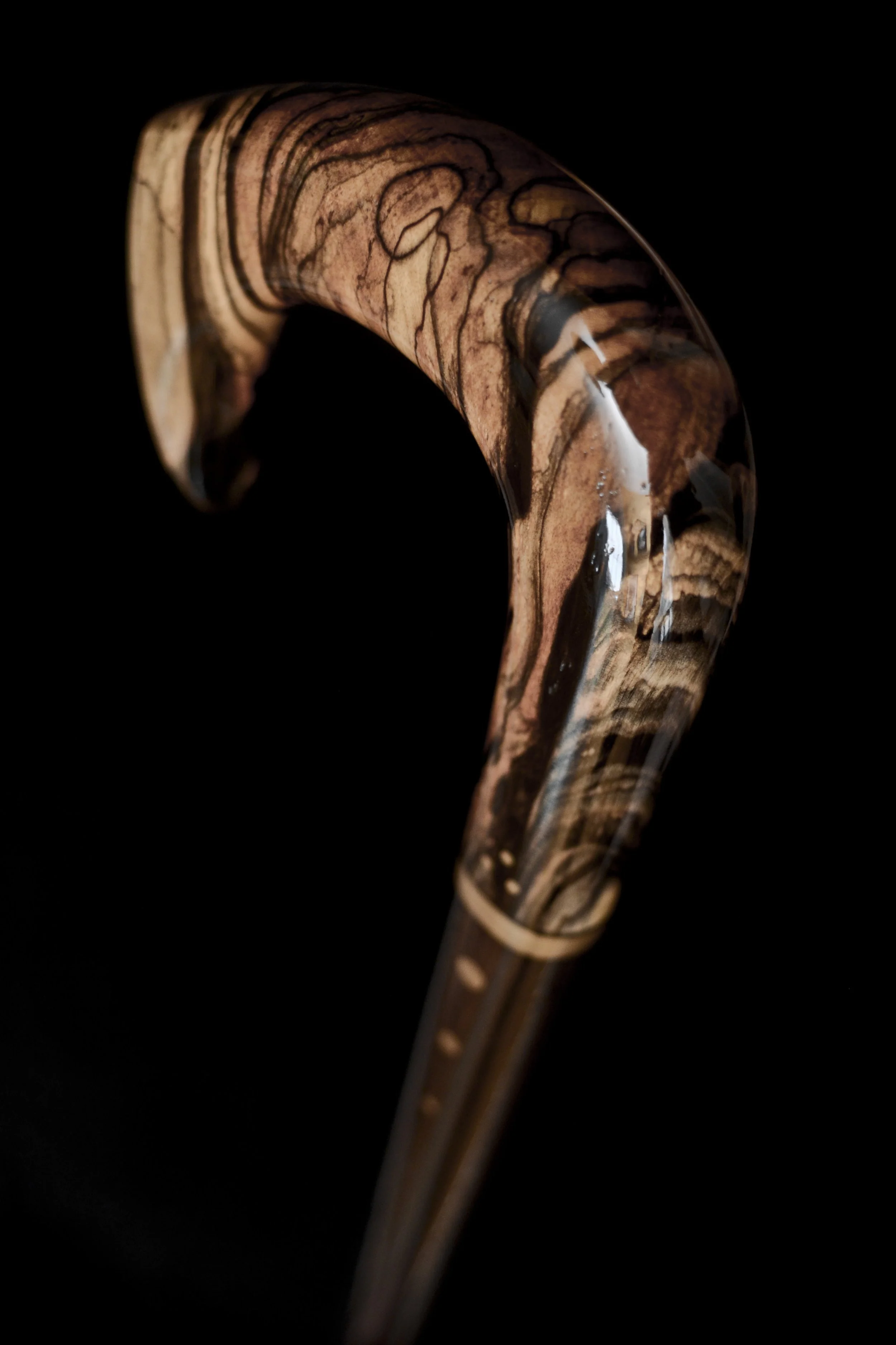 B&W Ebony Claw 3.jpg