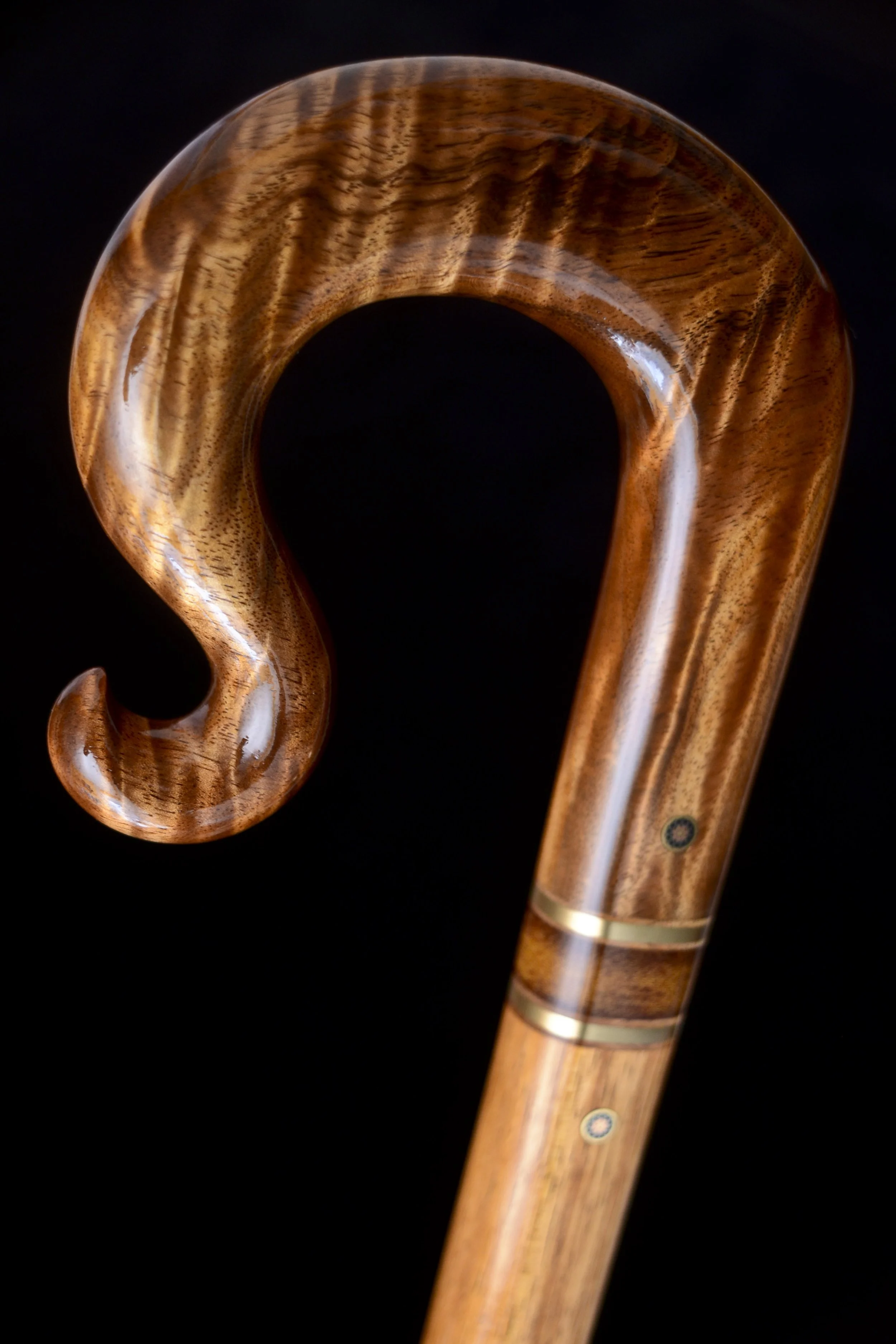 Tasmanian Blackwood, Koa 7.jpg