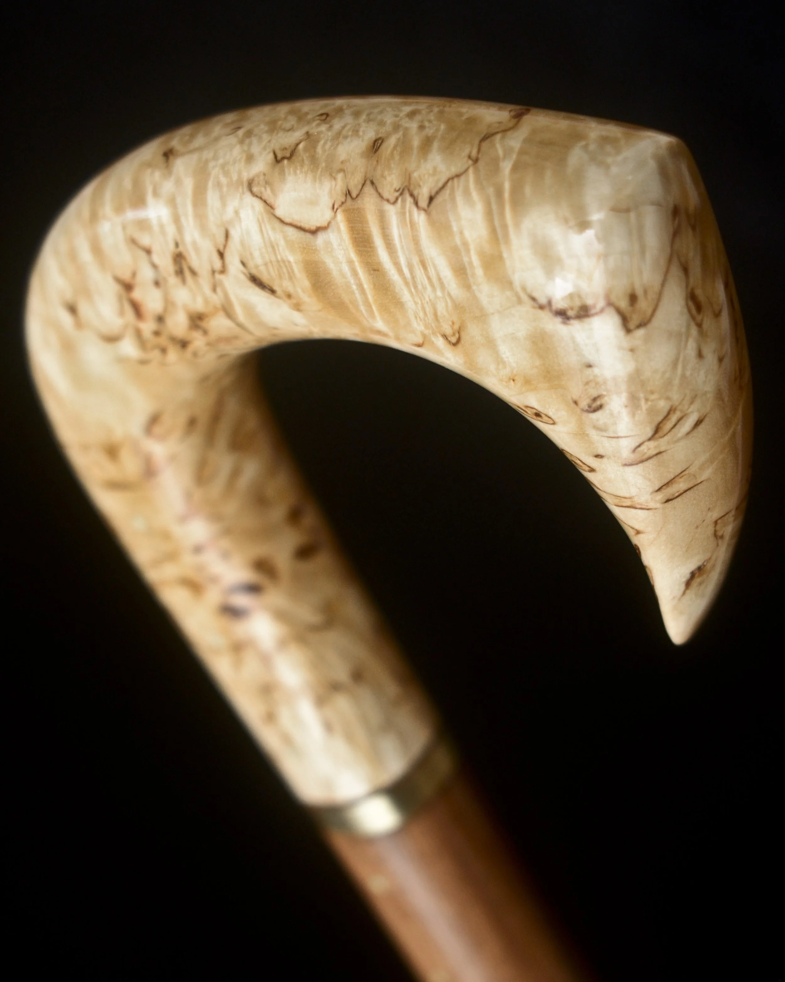 Birch, Mad. Rosewood 5.jpg