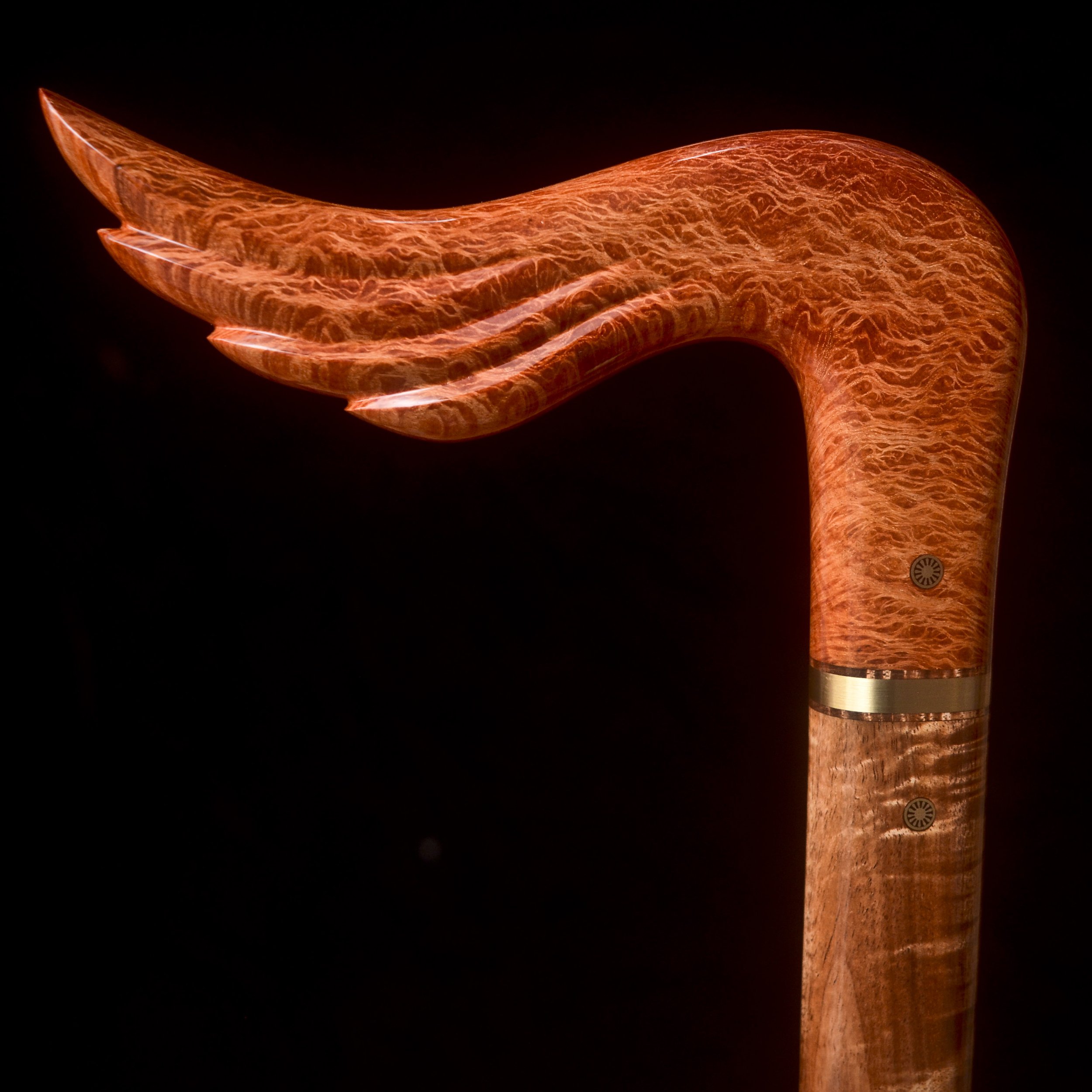Sheoak, Tasmanian Blackwood 8.jpg