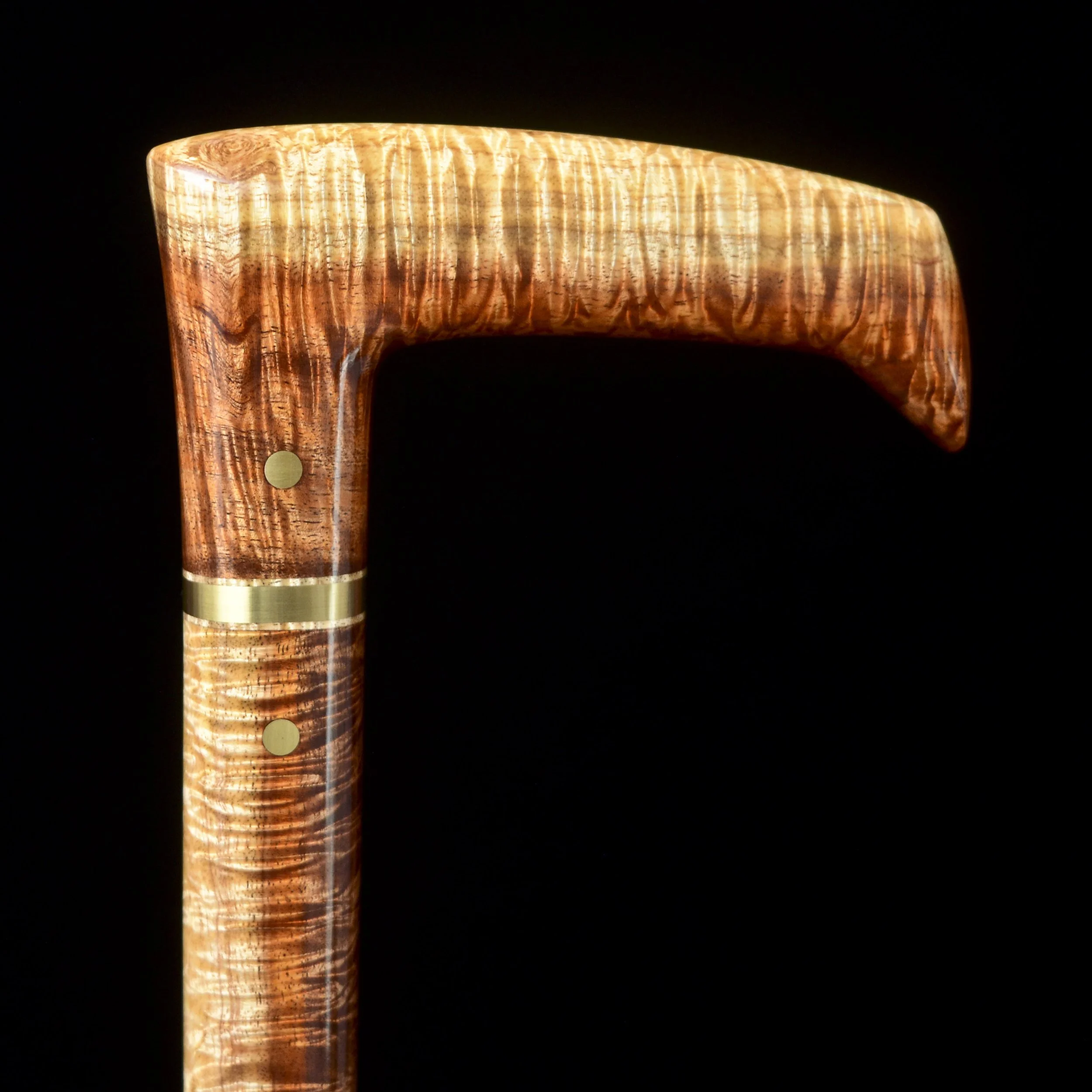 Tasmanian Blackwood 10.jpg