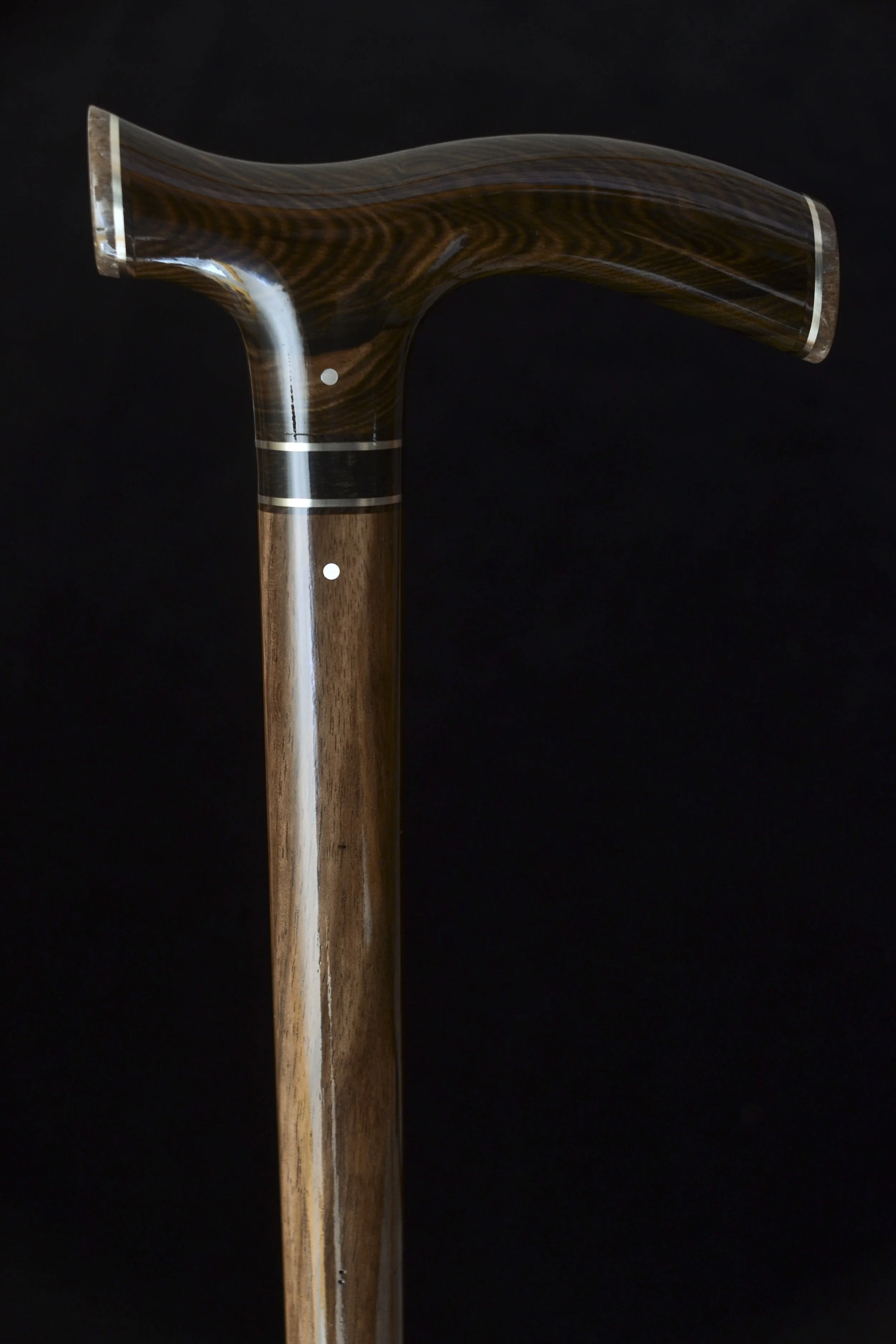 Mun Ebony, Kalimantan Ebony, Dinosaur Bone 1.jpg