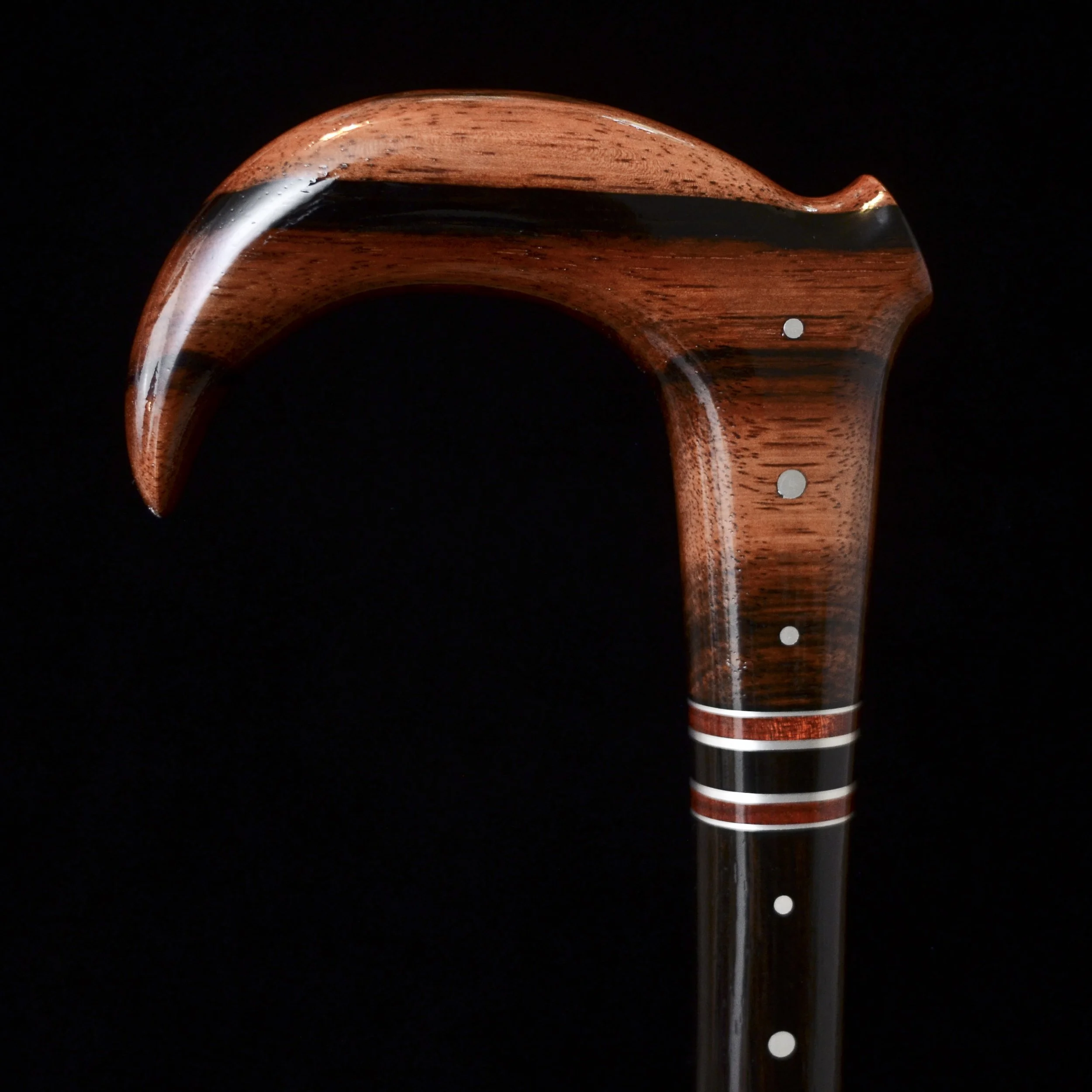 Ebony claw 10.jpg