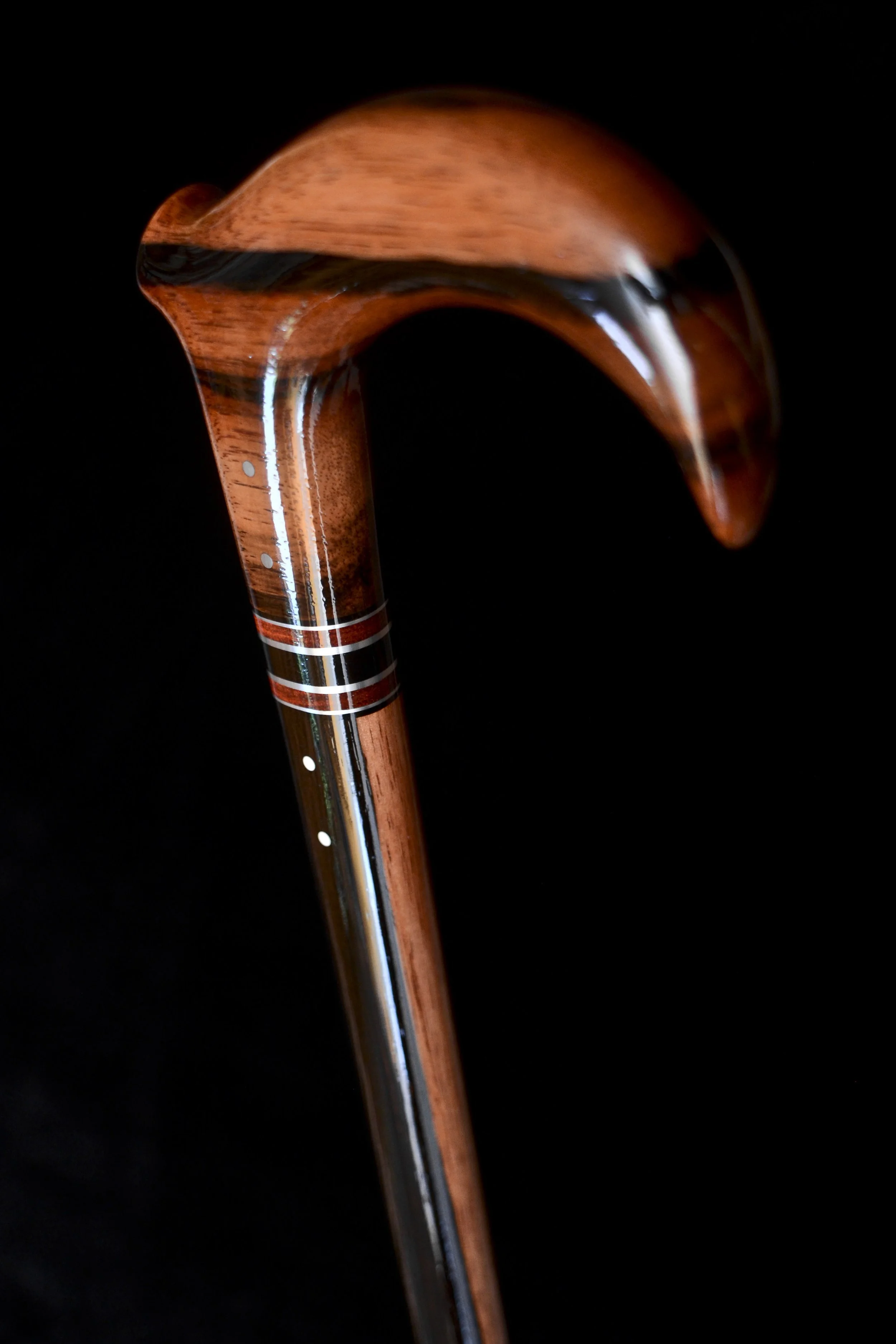 Macassar Claw 4.jpg