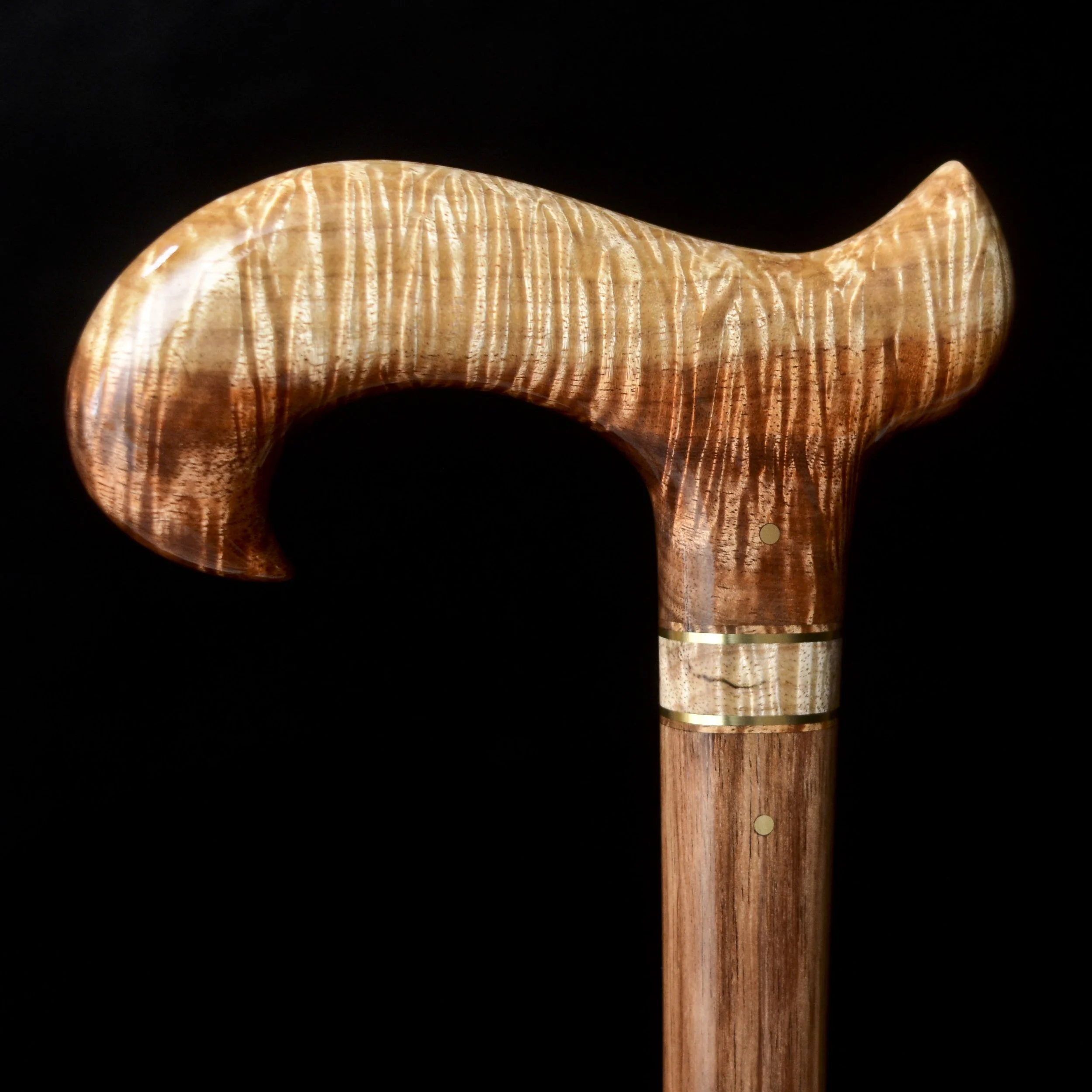 Tasmanian Blackwood 12.jpg