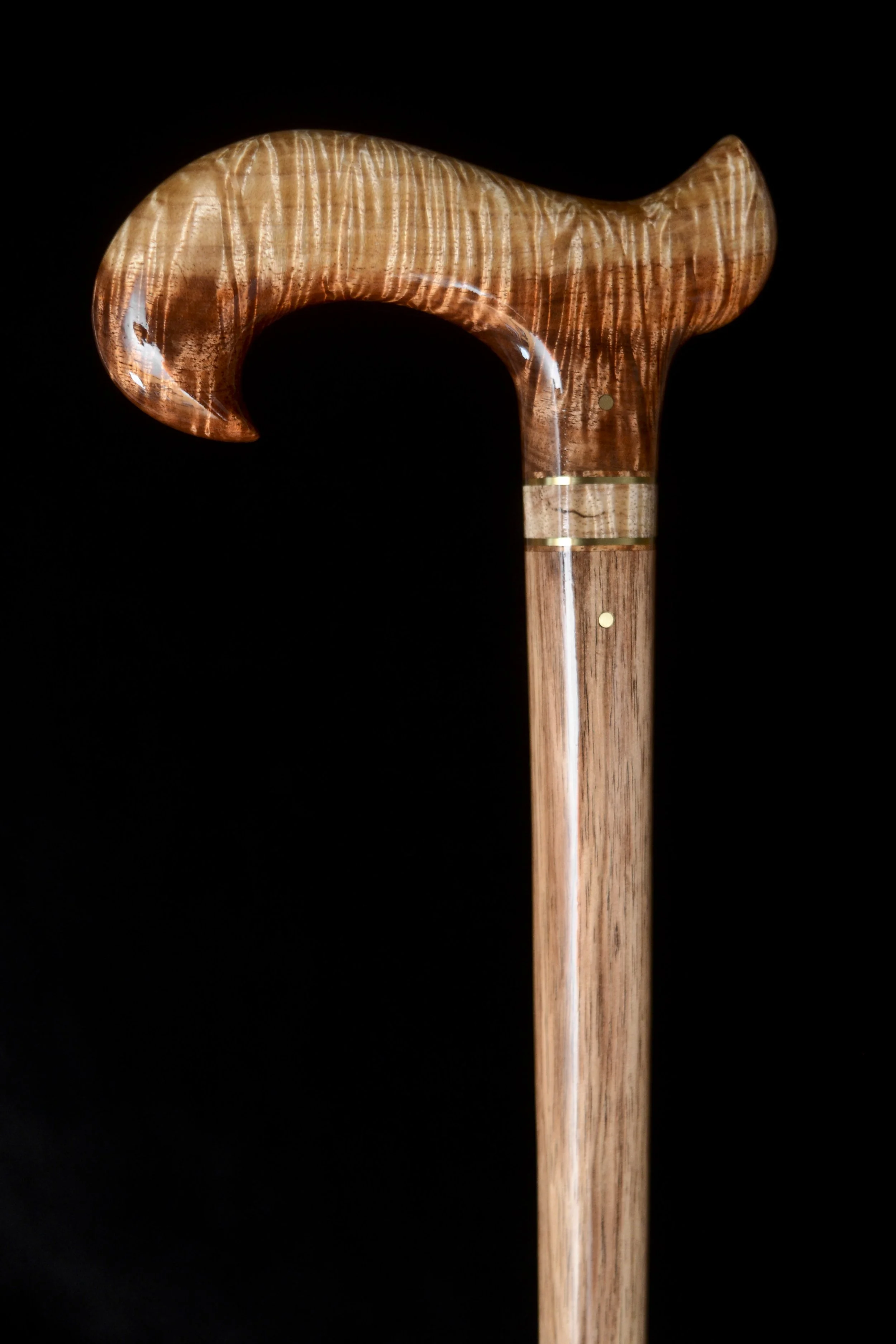 Tasmanian Blackwood 2.jpg