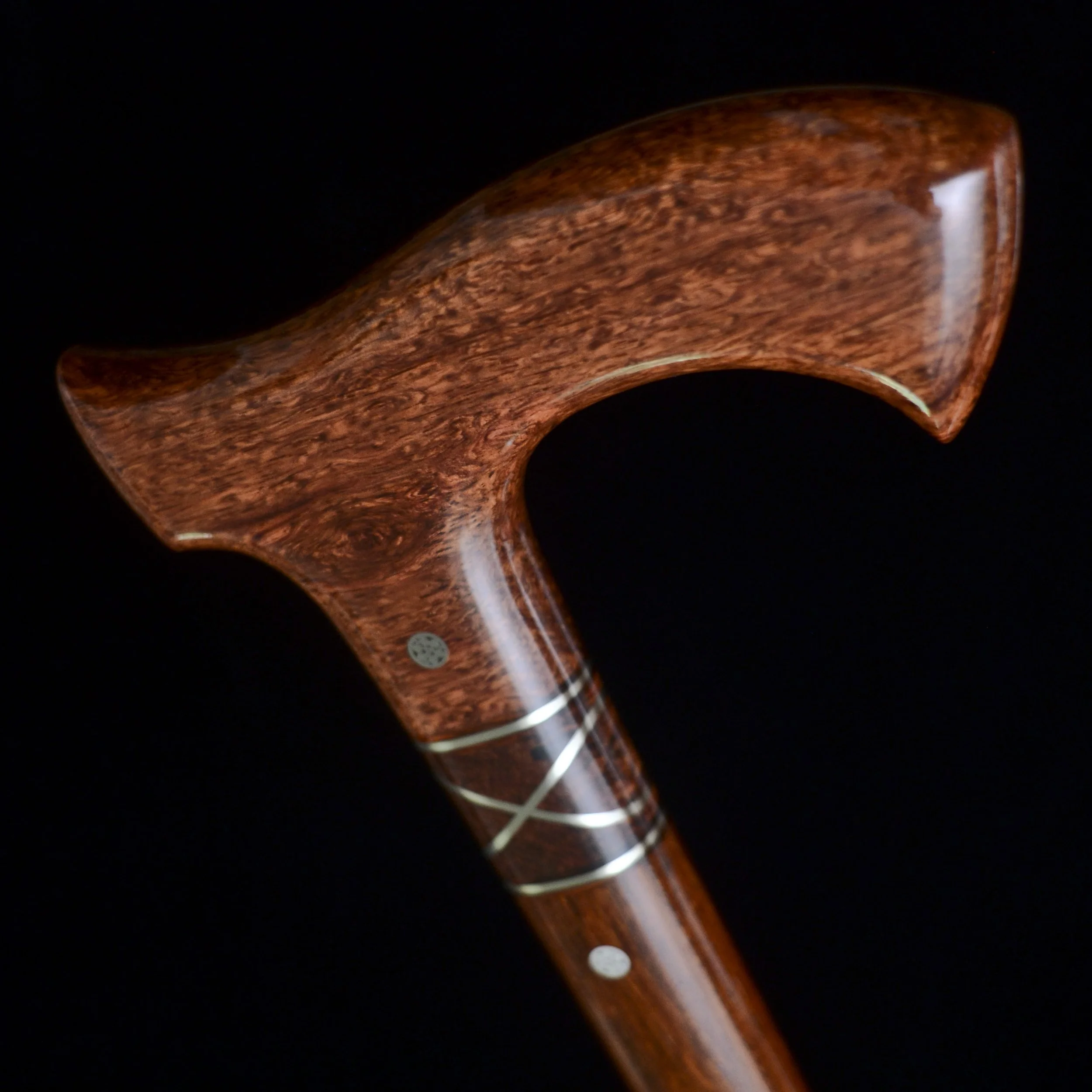 Siamese, Cocobolo 10.jpg