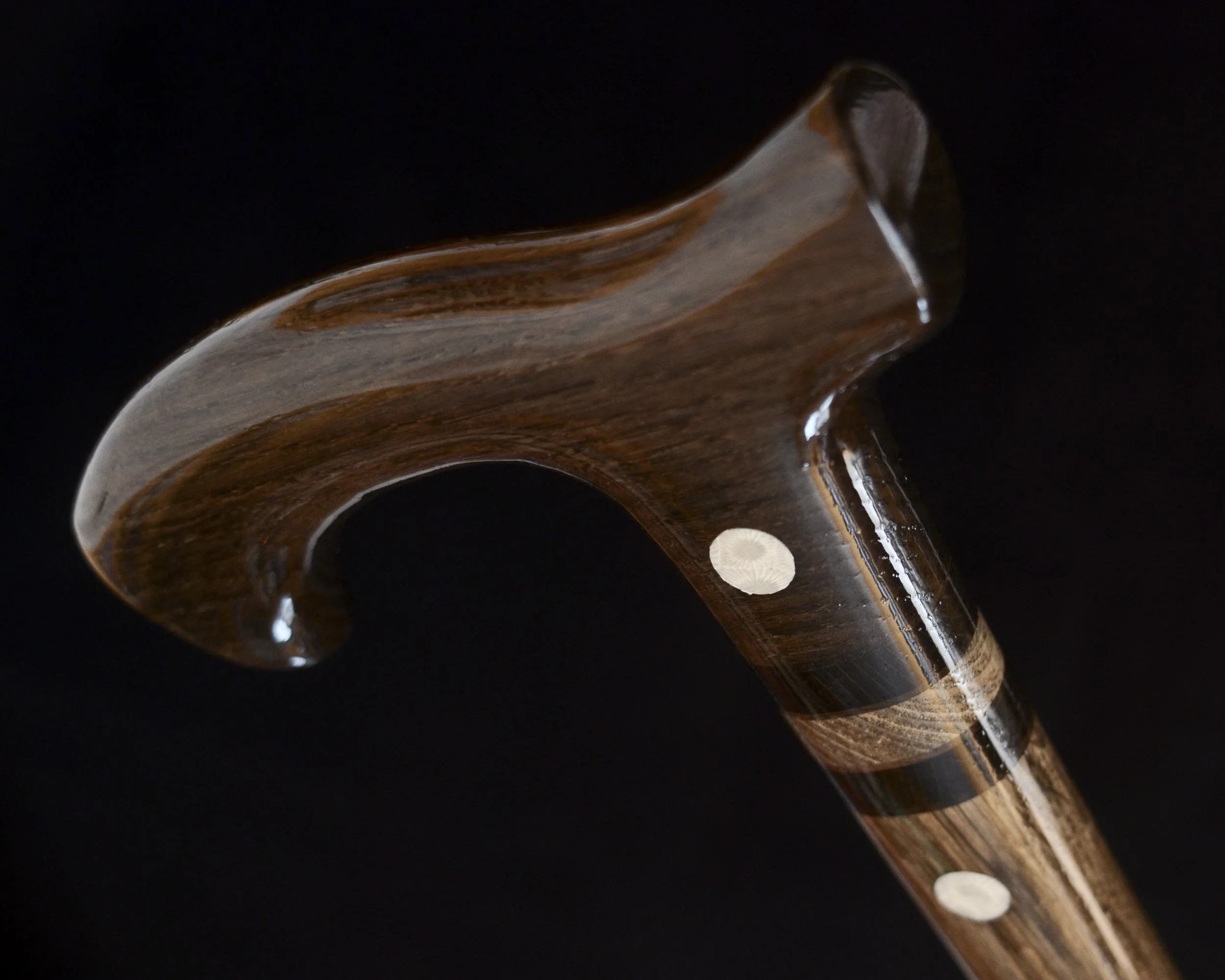 Bog Oak Fossil coral  8.jpg