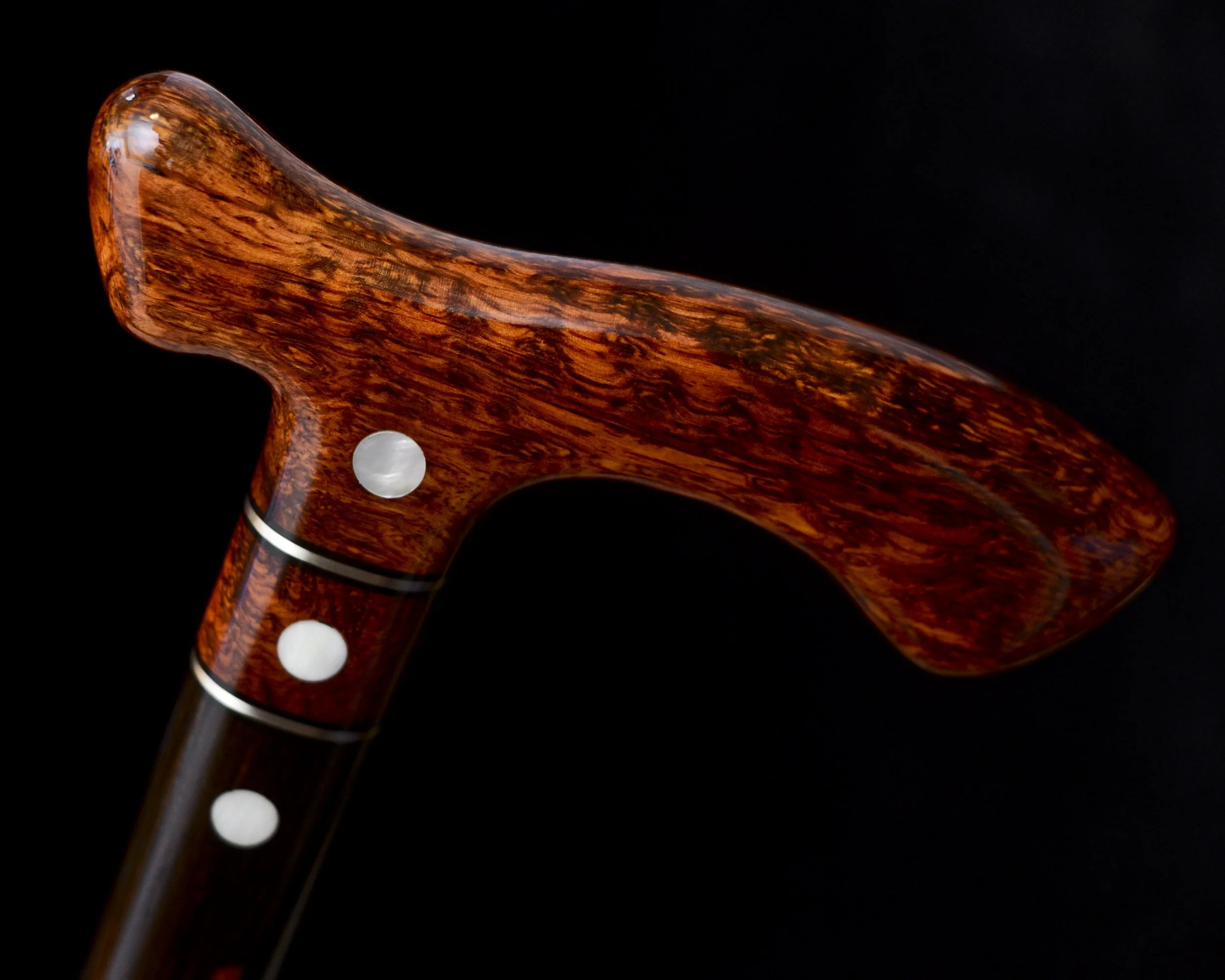 Flame Siam, Ebony 8.jpg