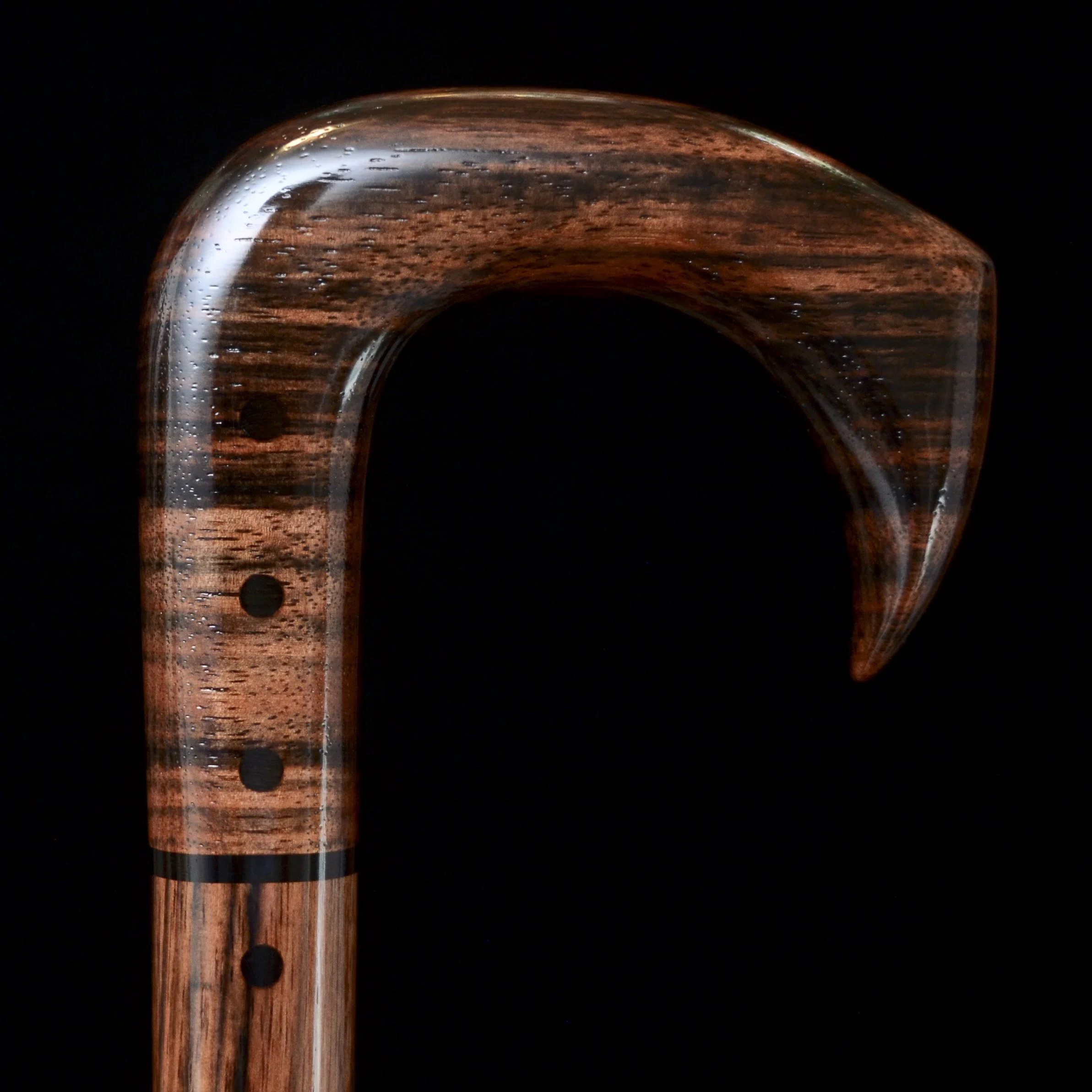 Ebony Talon 11.jpg