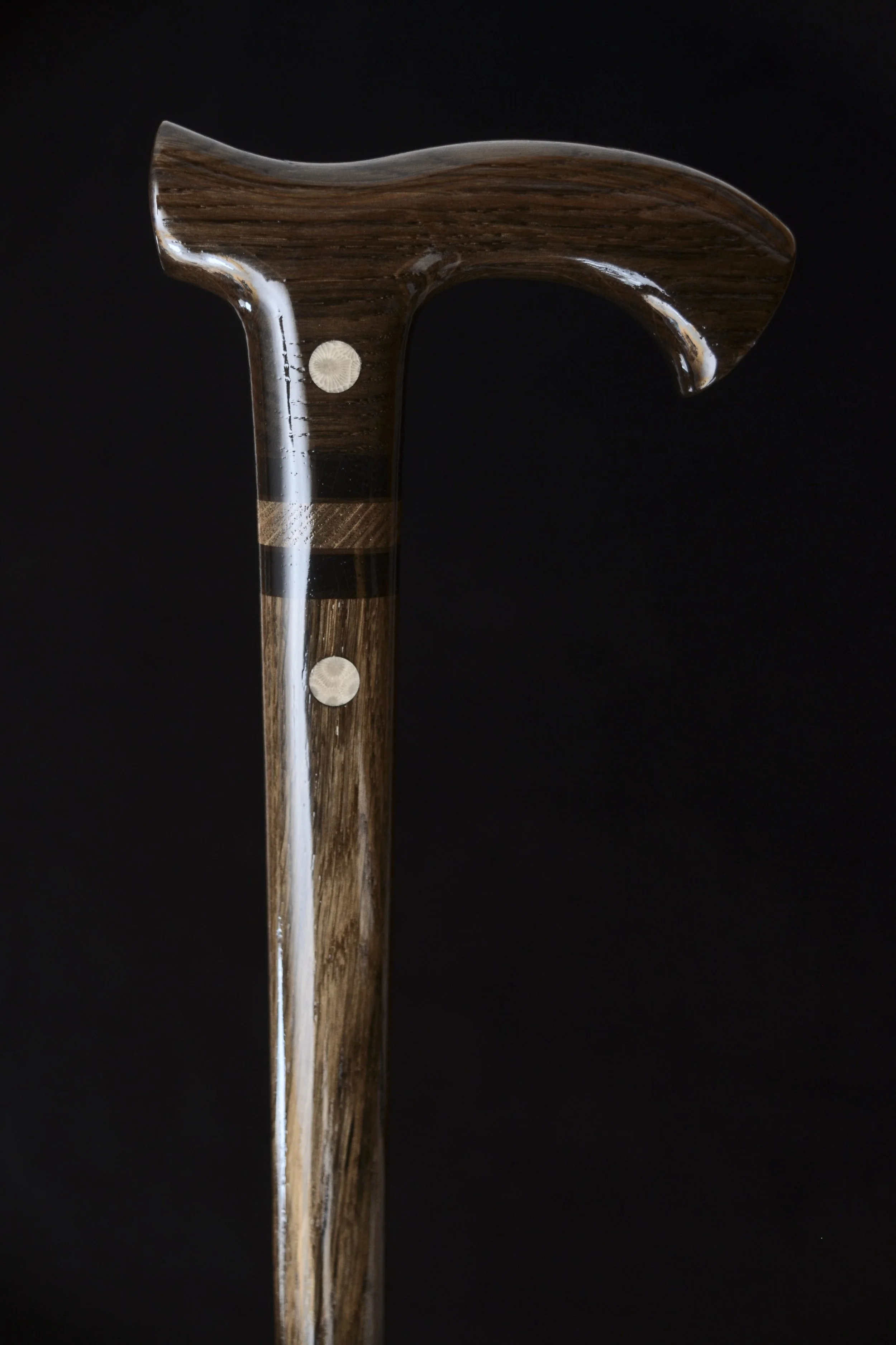 Bog Oak Fossil coral  1.jpg