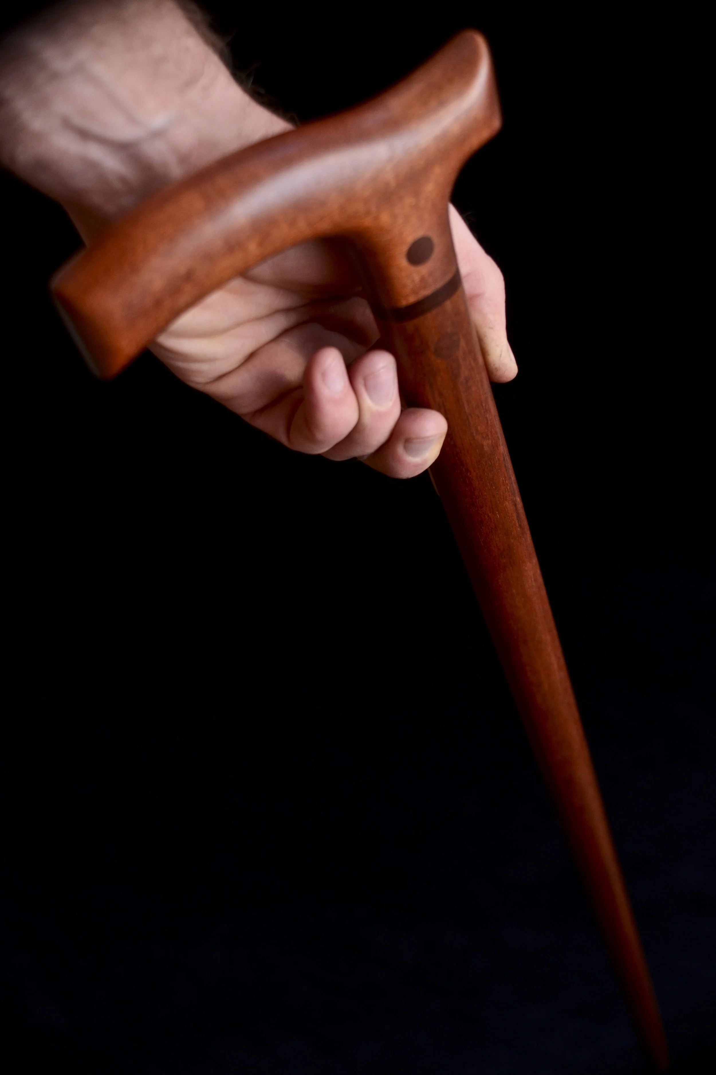 Sapele  10.jpg