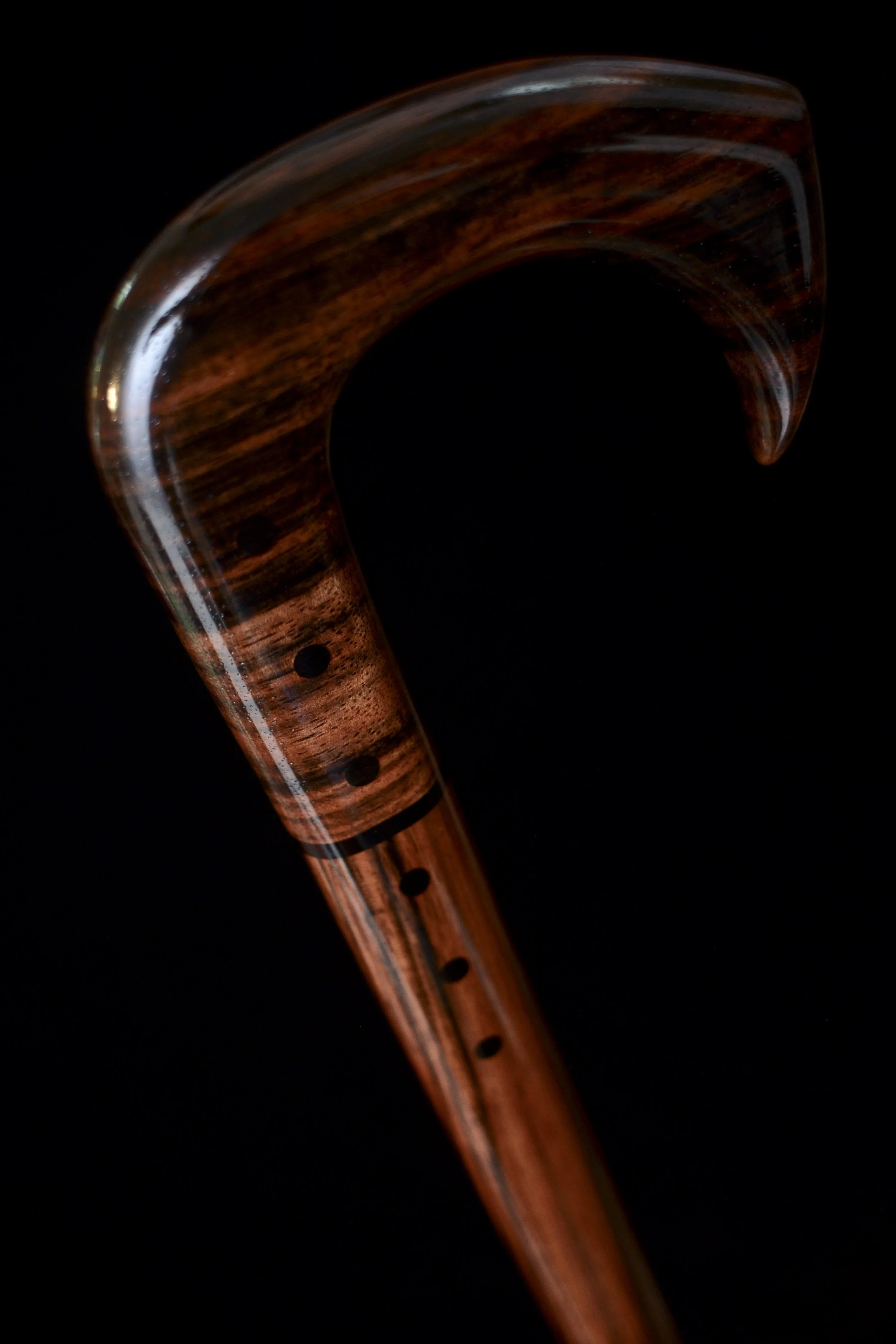 Ebony Talon 5.jpg