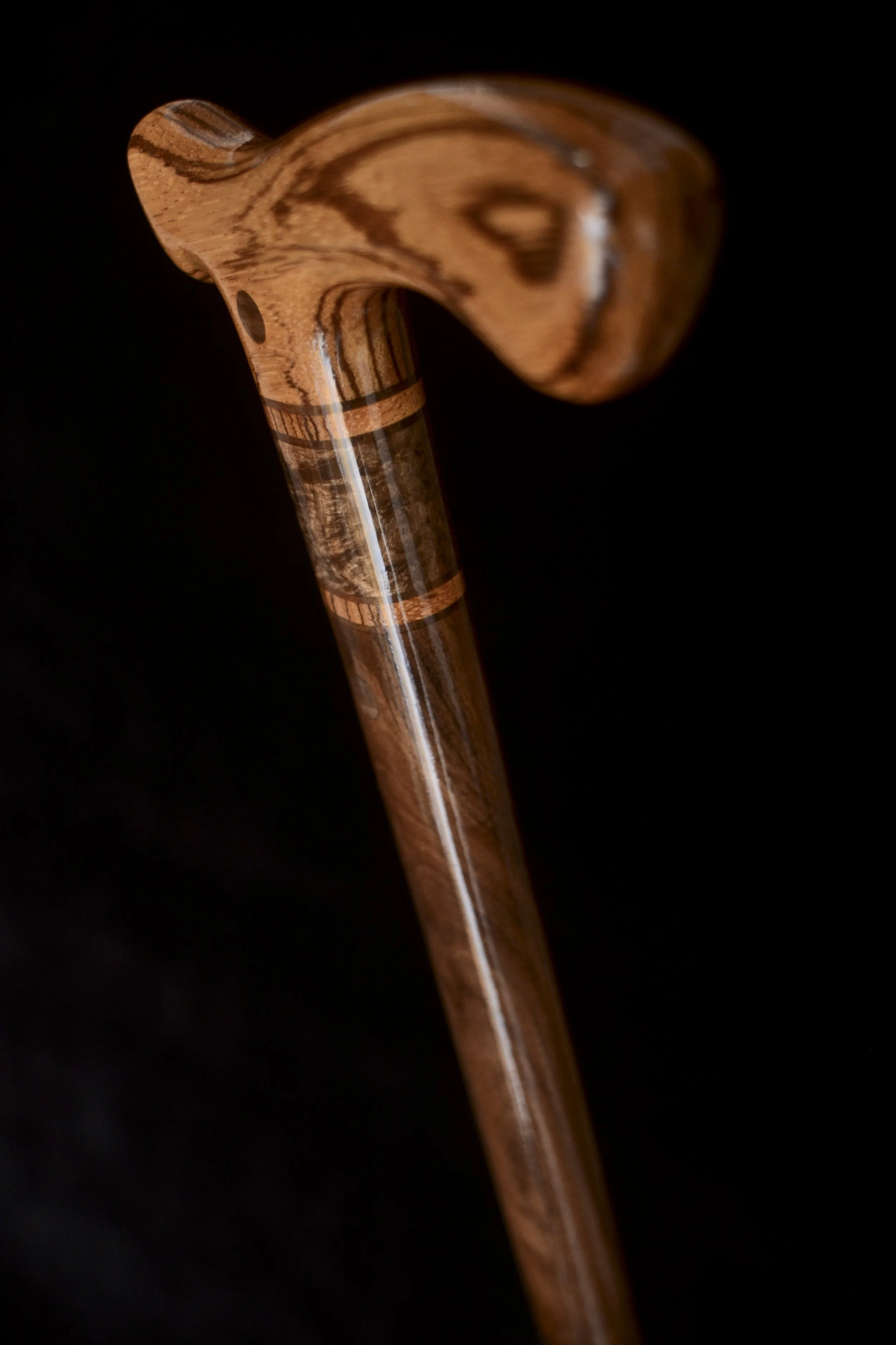 Zebrawood, Mansonia 4.jpg