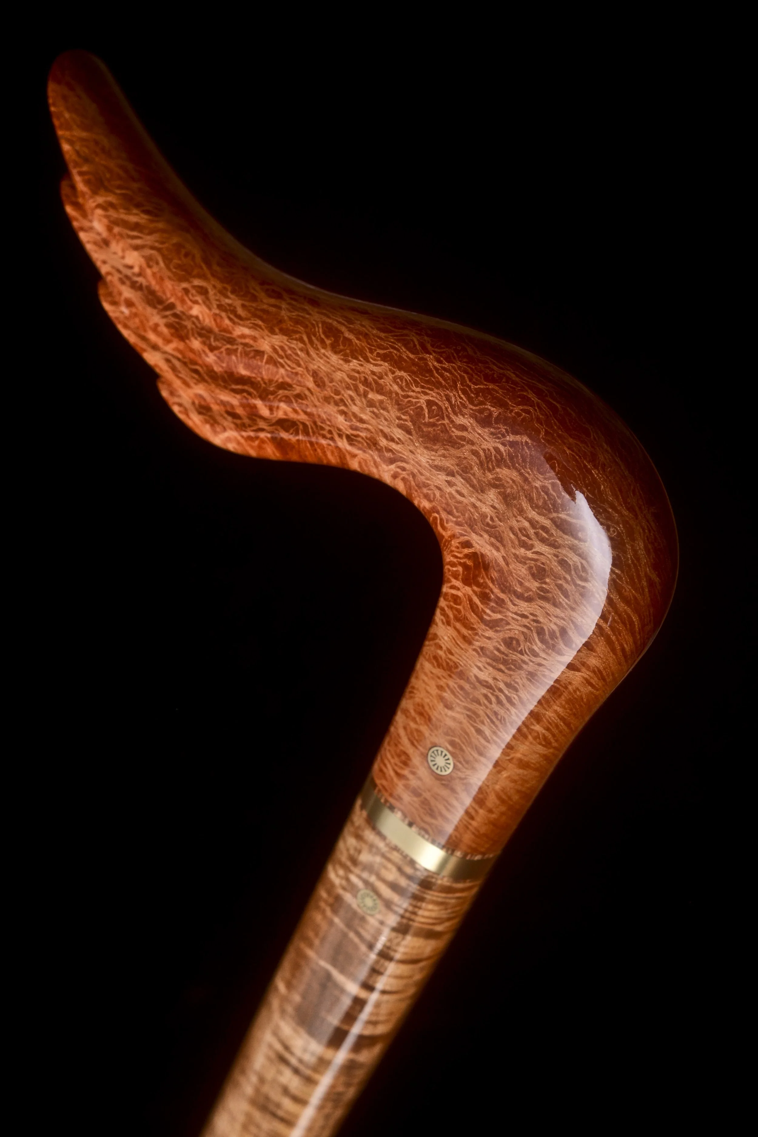 Sheoak, Tasmanian Blackwood 3.jpg
