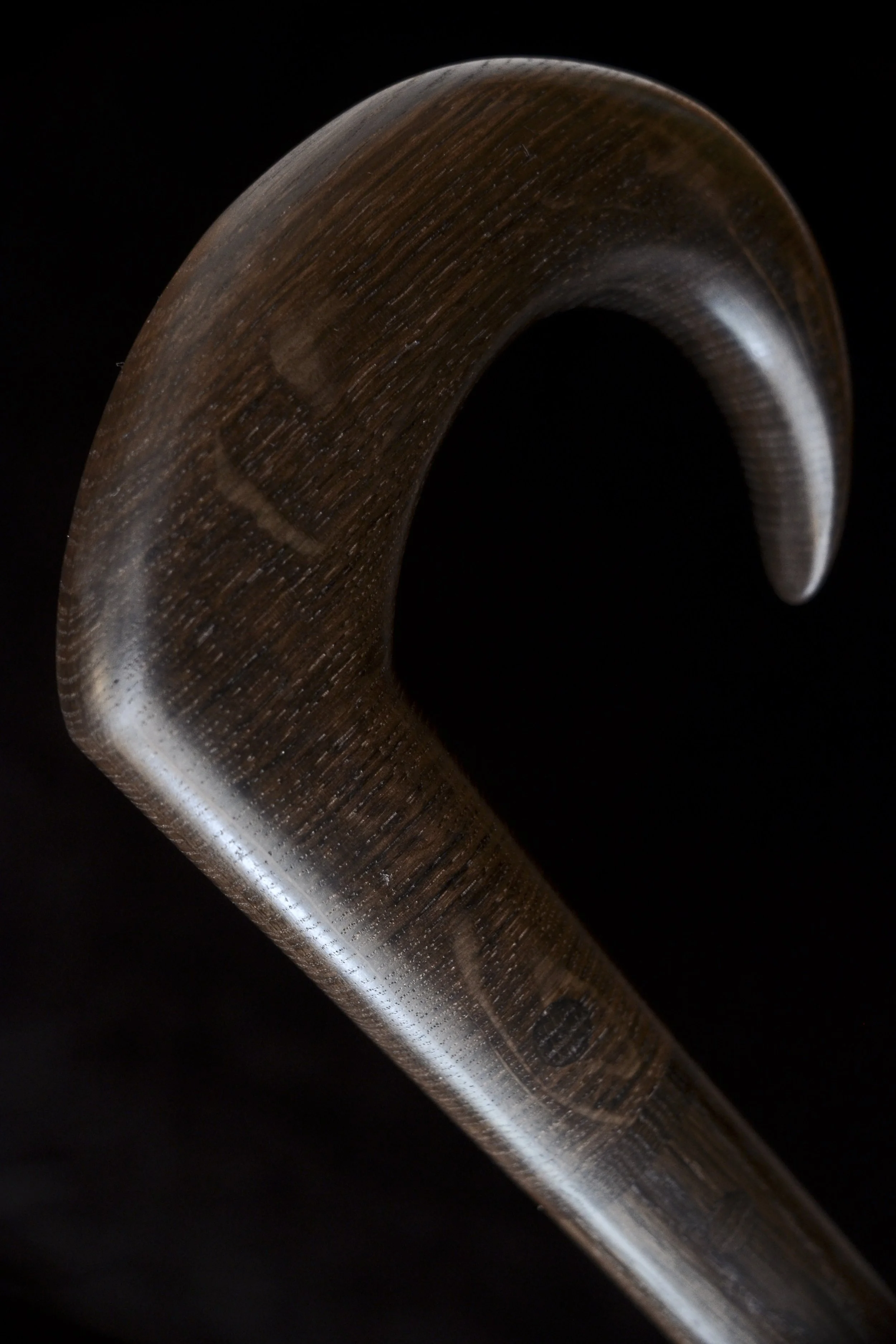 Bog Oak 9.jpg