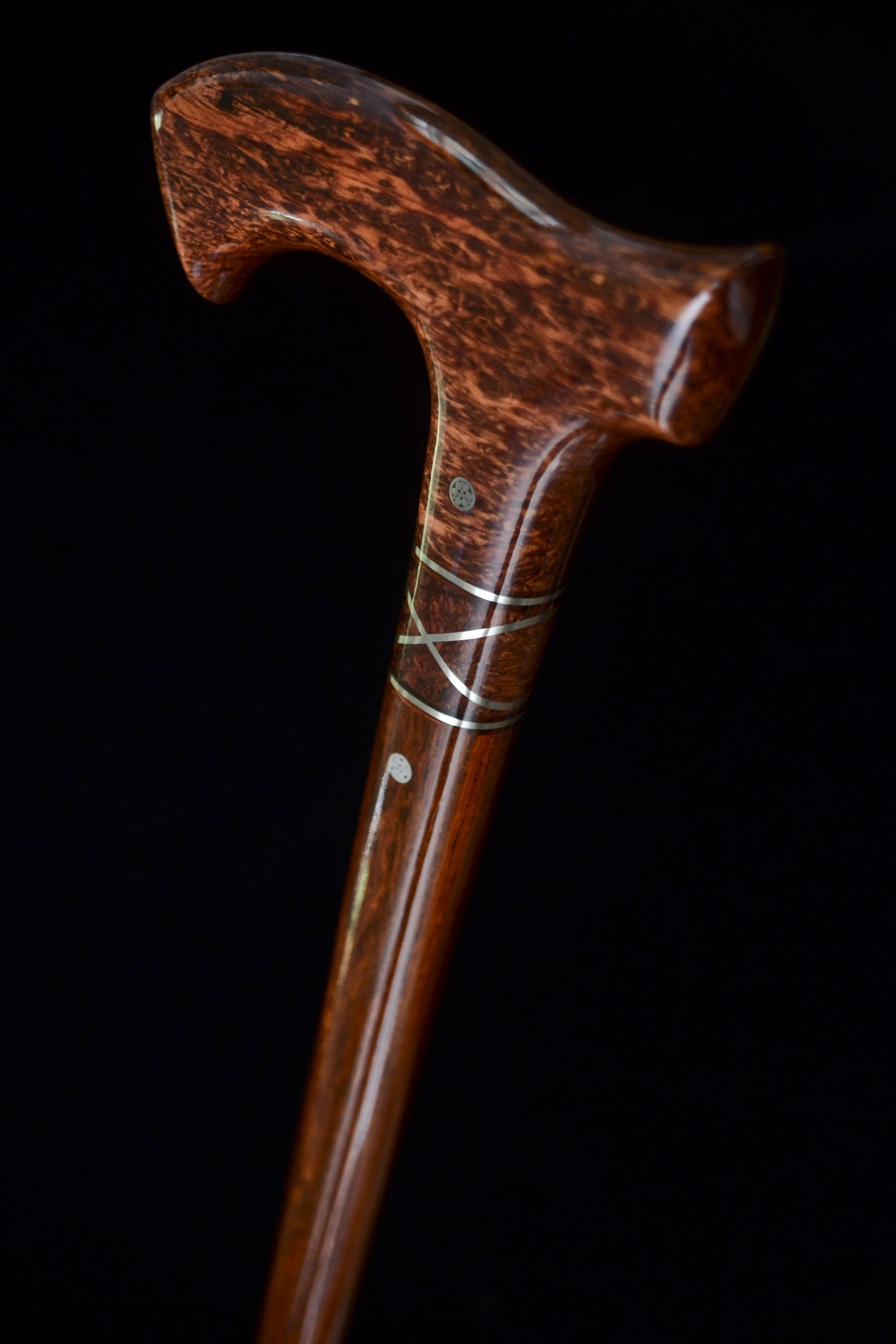 Siamese, Cocobolo 3.jpg