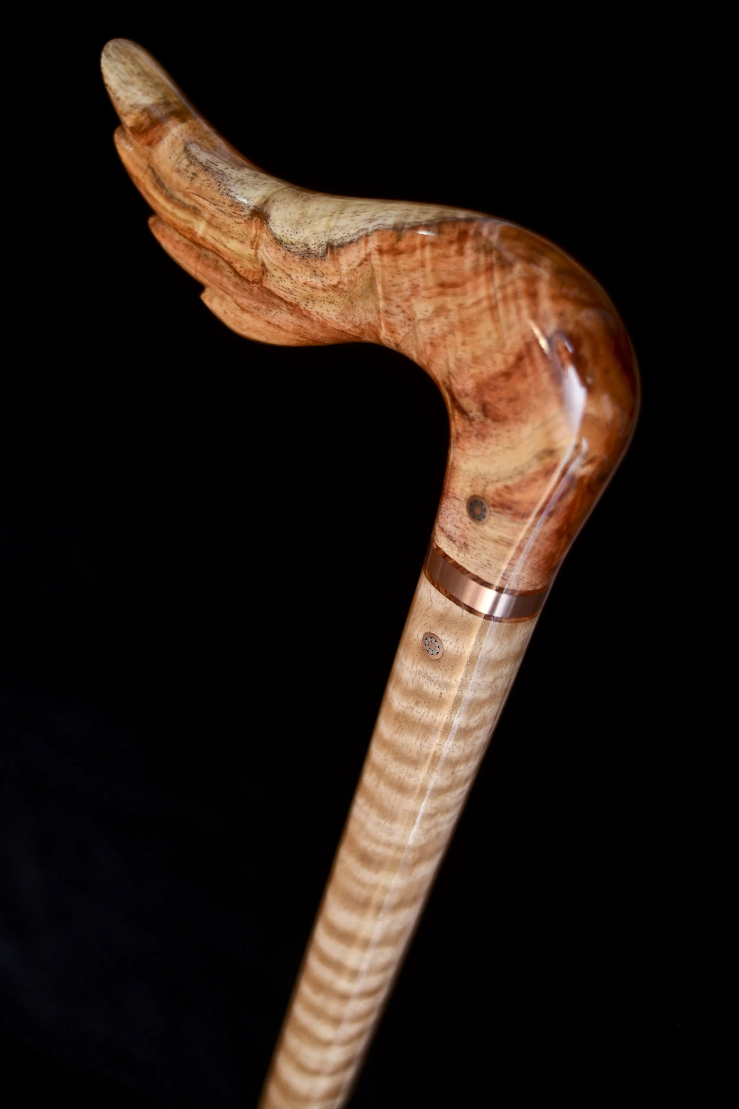Hainan Rosewood, Eucalyptus 5.jpg