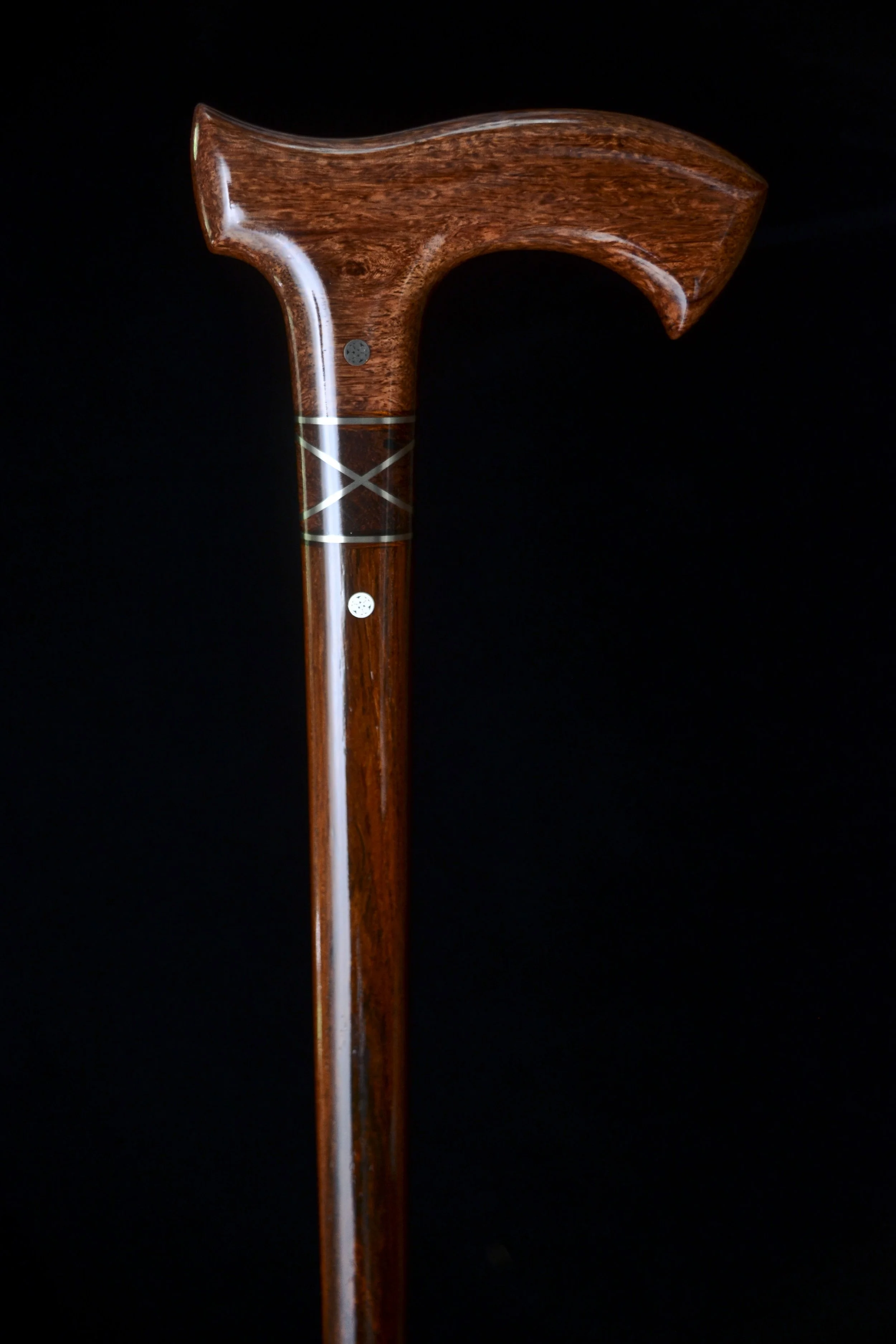 Siamese, Cocobolo 1.jpg