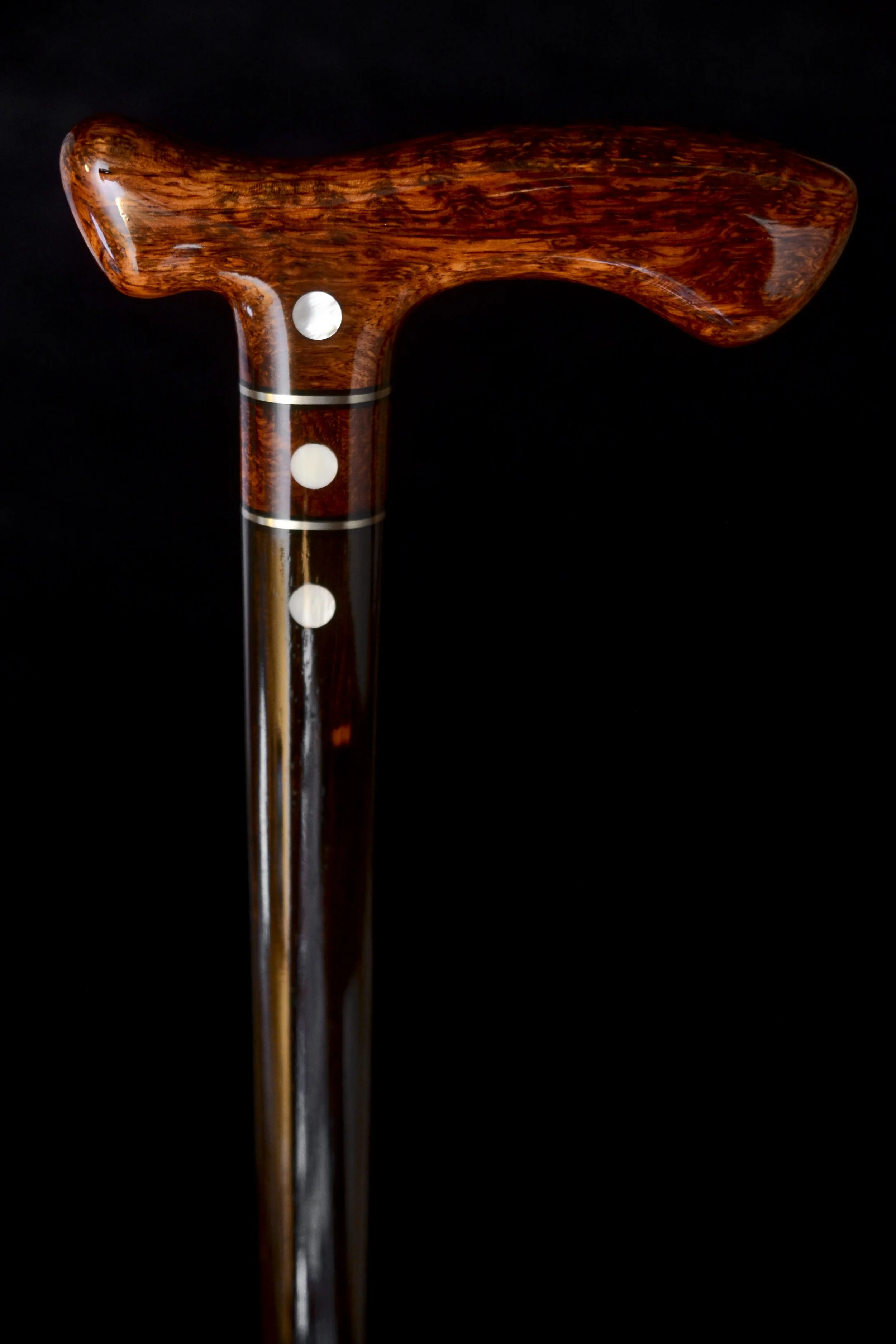 Flame Siam, Ebony 1.jpg