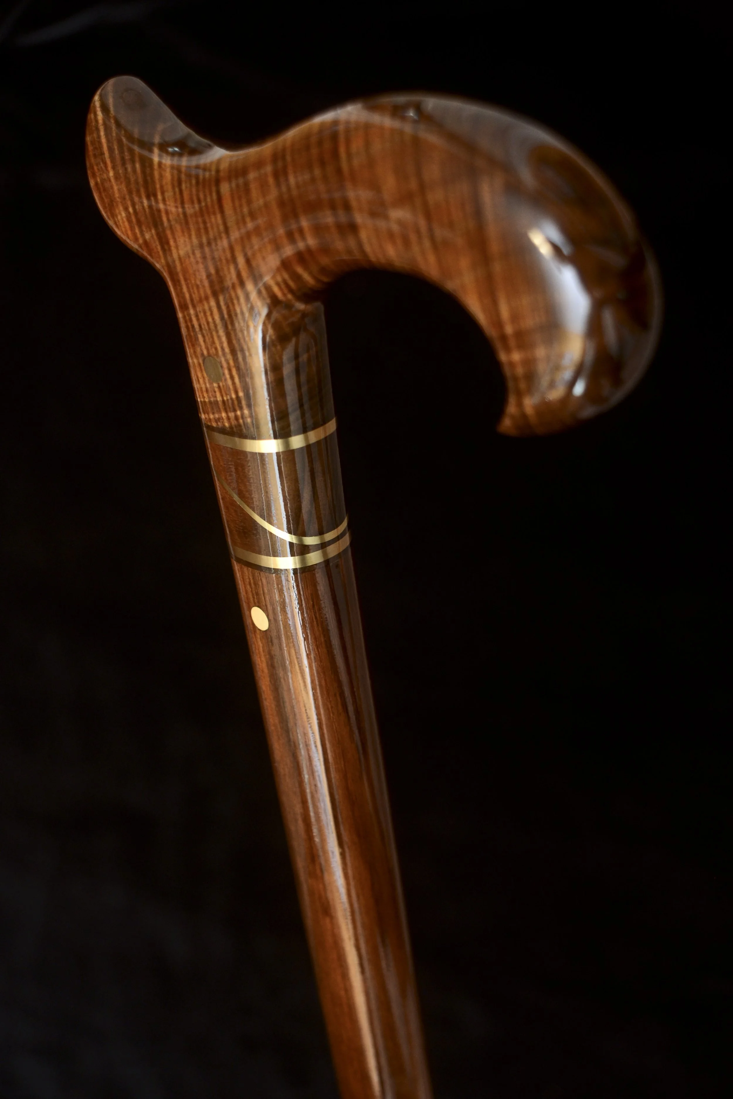 Ancient Blackwood 4.jpg