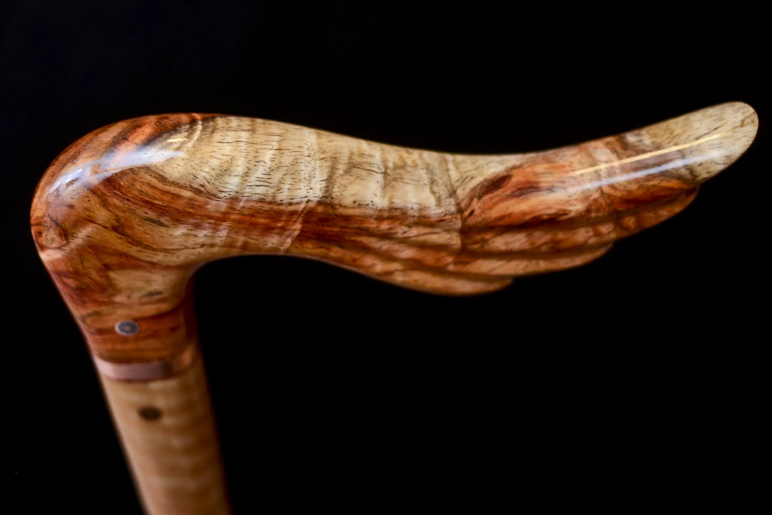Hainan Rosewood, Eucalyptus 9.jpg