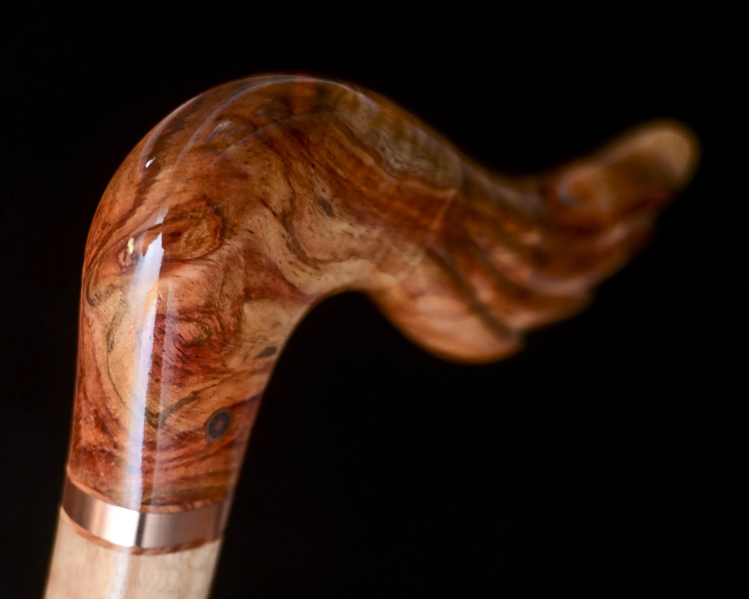 Hainan Rosewood, Eucalyptus 11.jpg