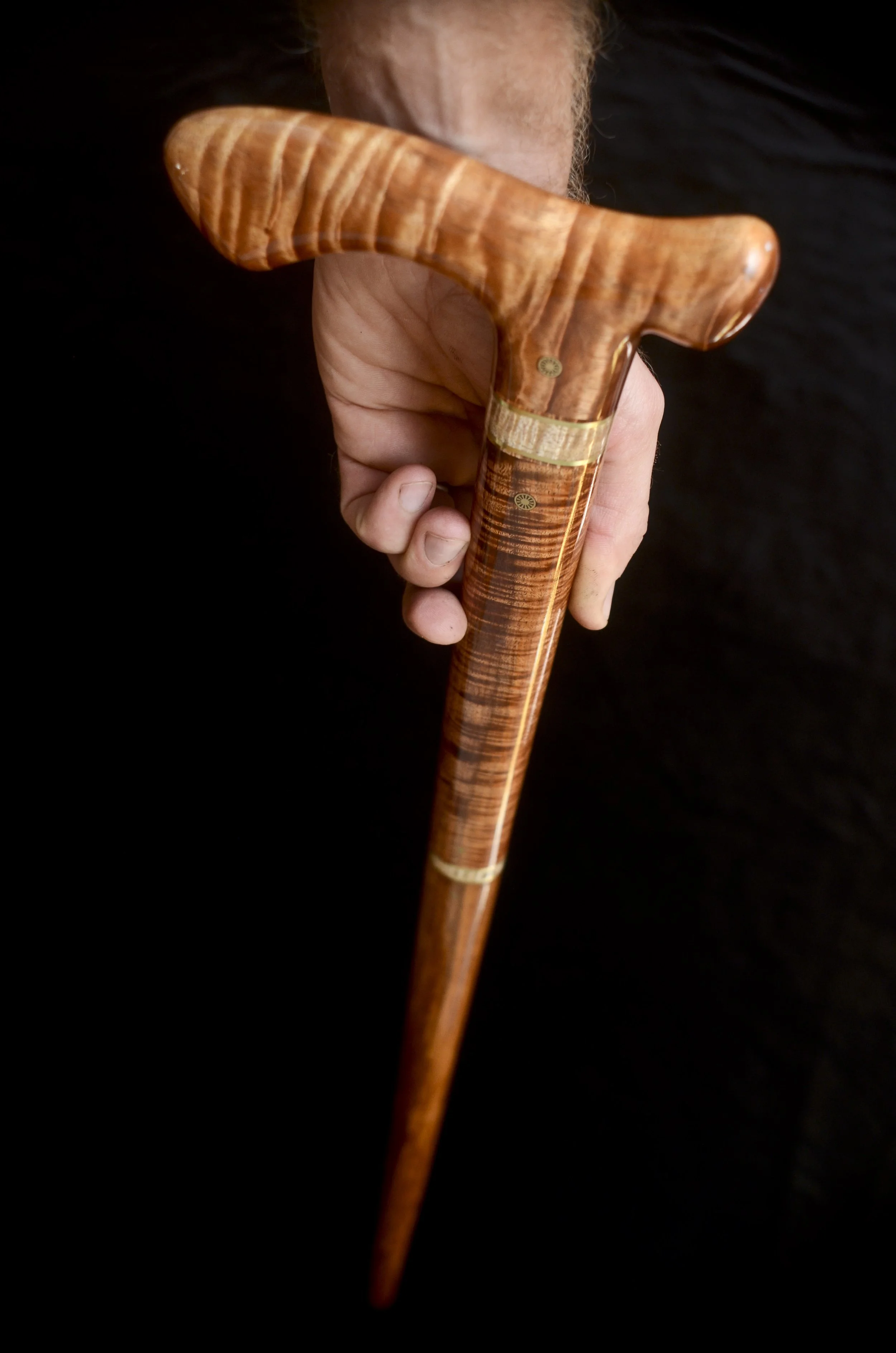 Tasmanian Blackwood, Koa  11.jpg