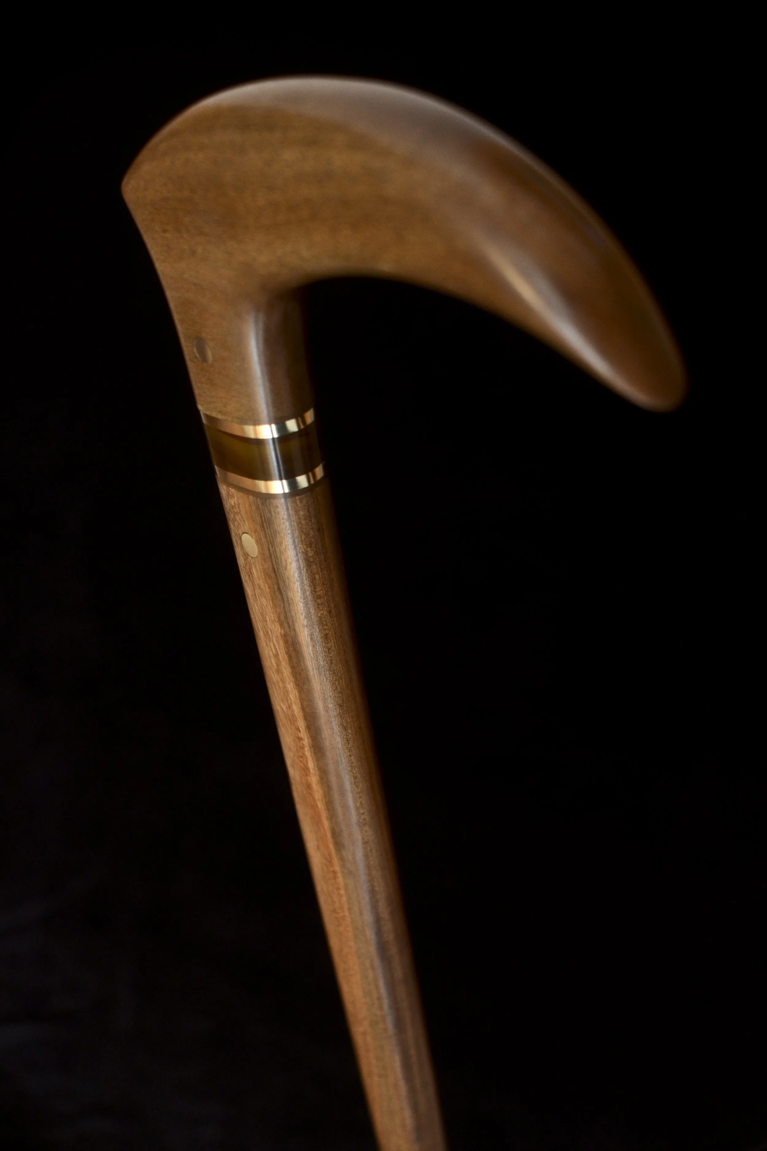 Bog Birch, Ipe 4.jpg