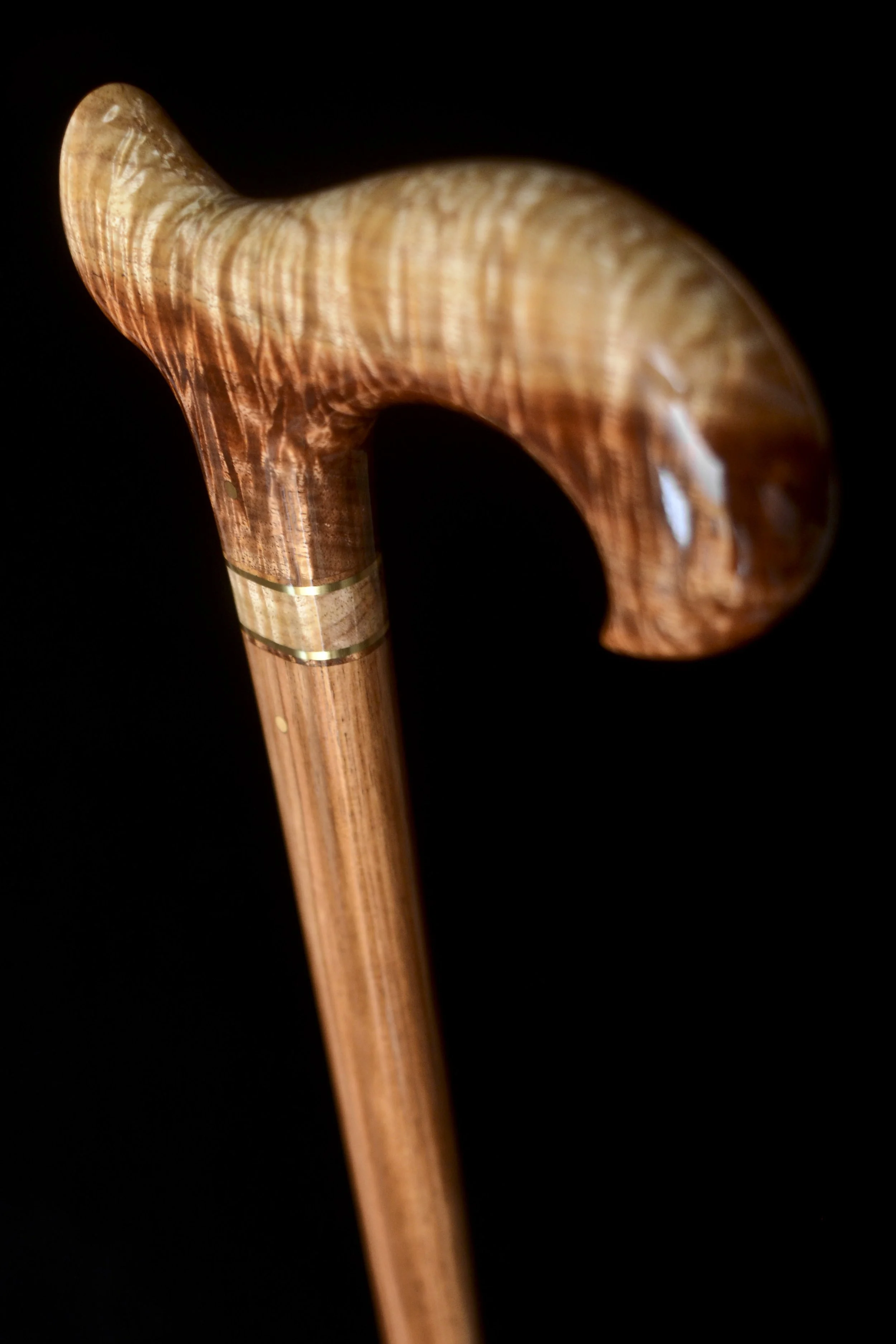 Tasmanian Blackwood 4.jpg
