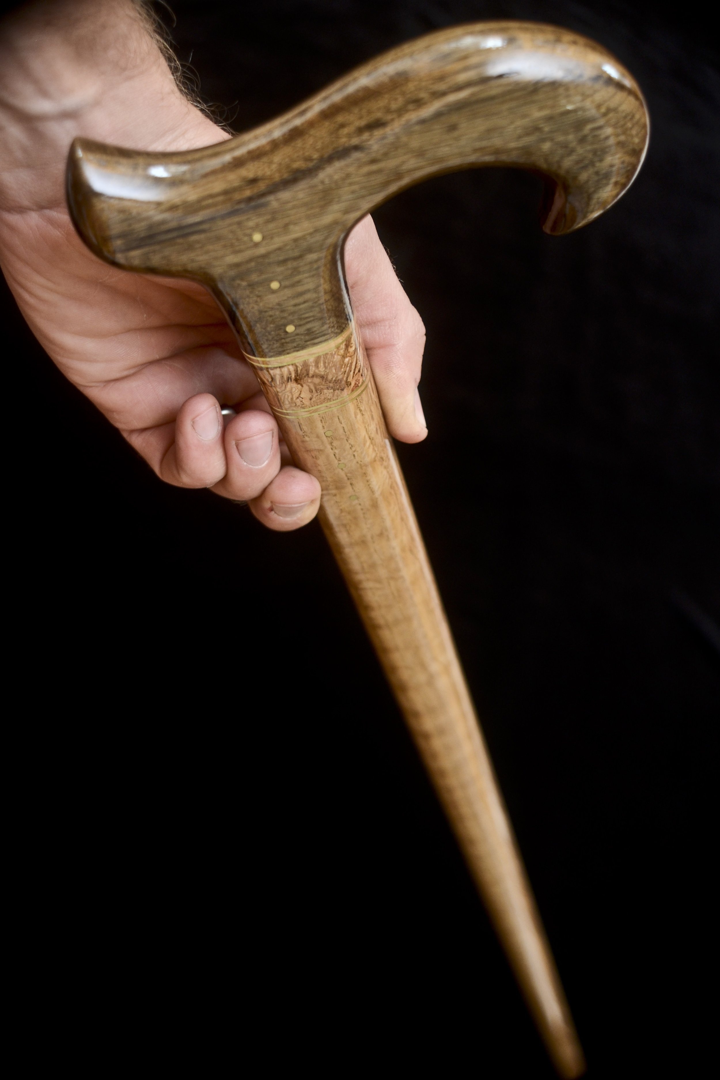 Bog Oak, Oak 10.jpg