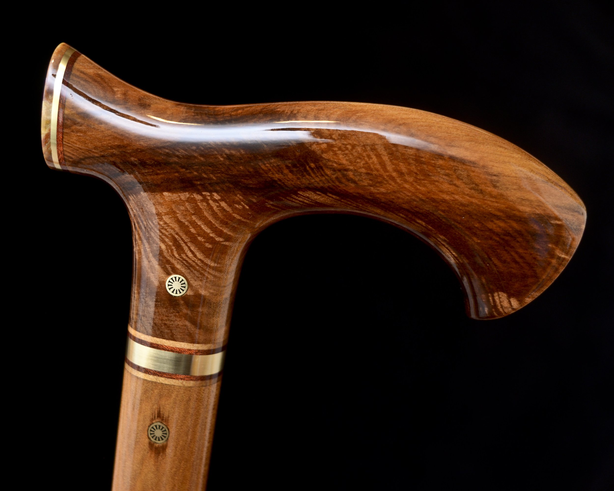 Ancient Kauri, Pet. Wood 5.jpg