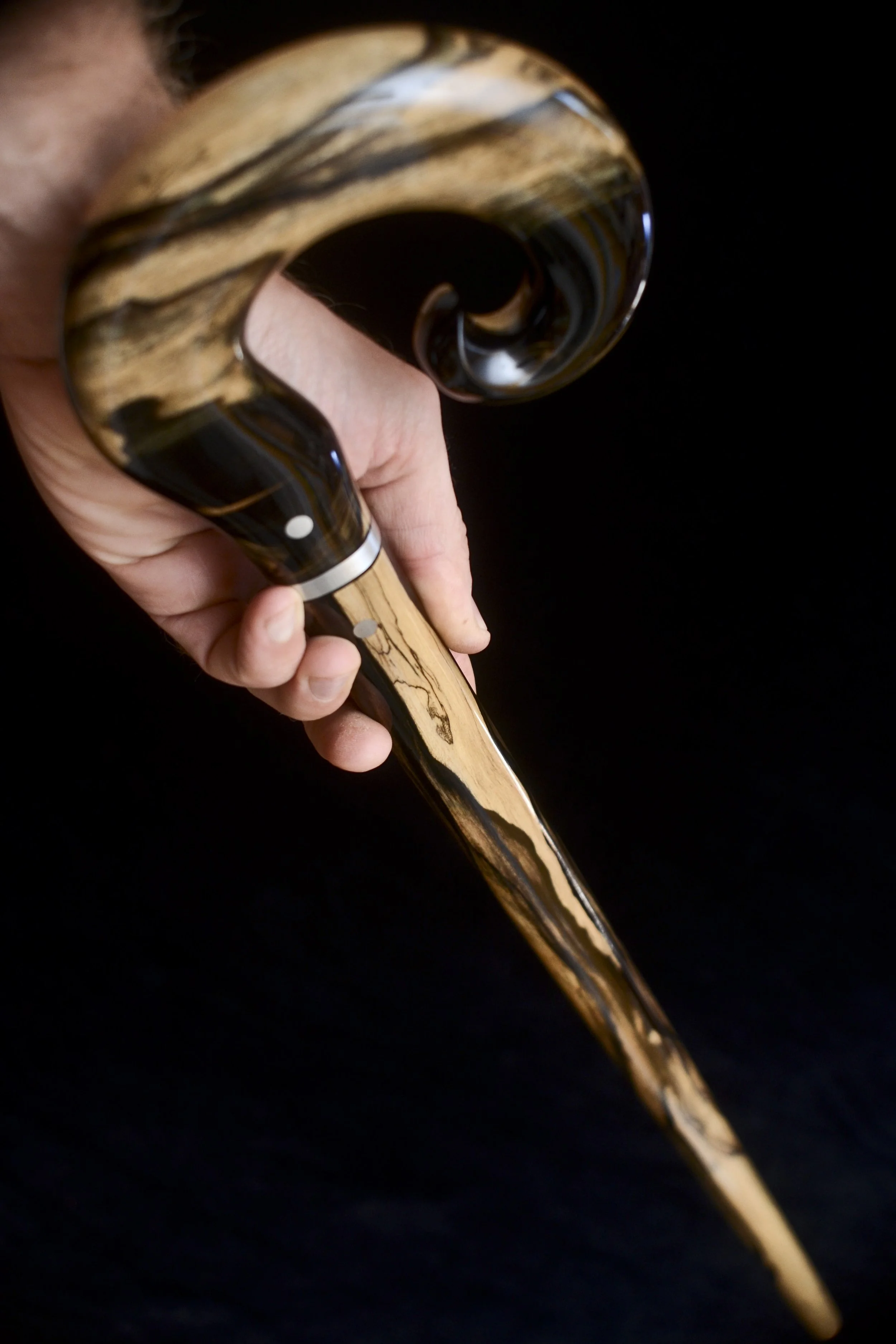Black and white ebony 10.jpg
