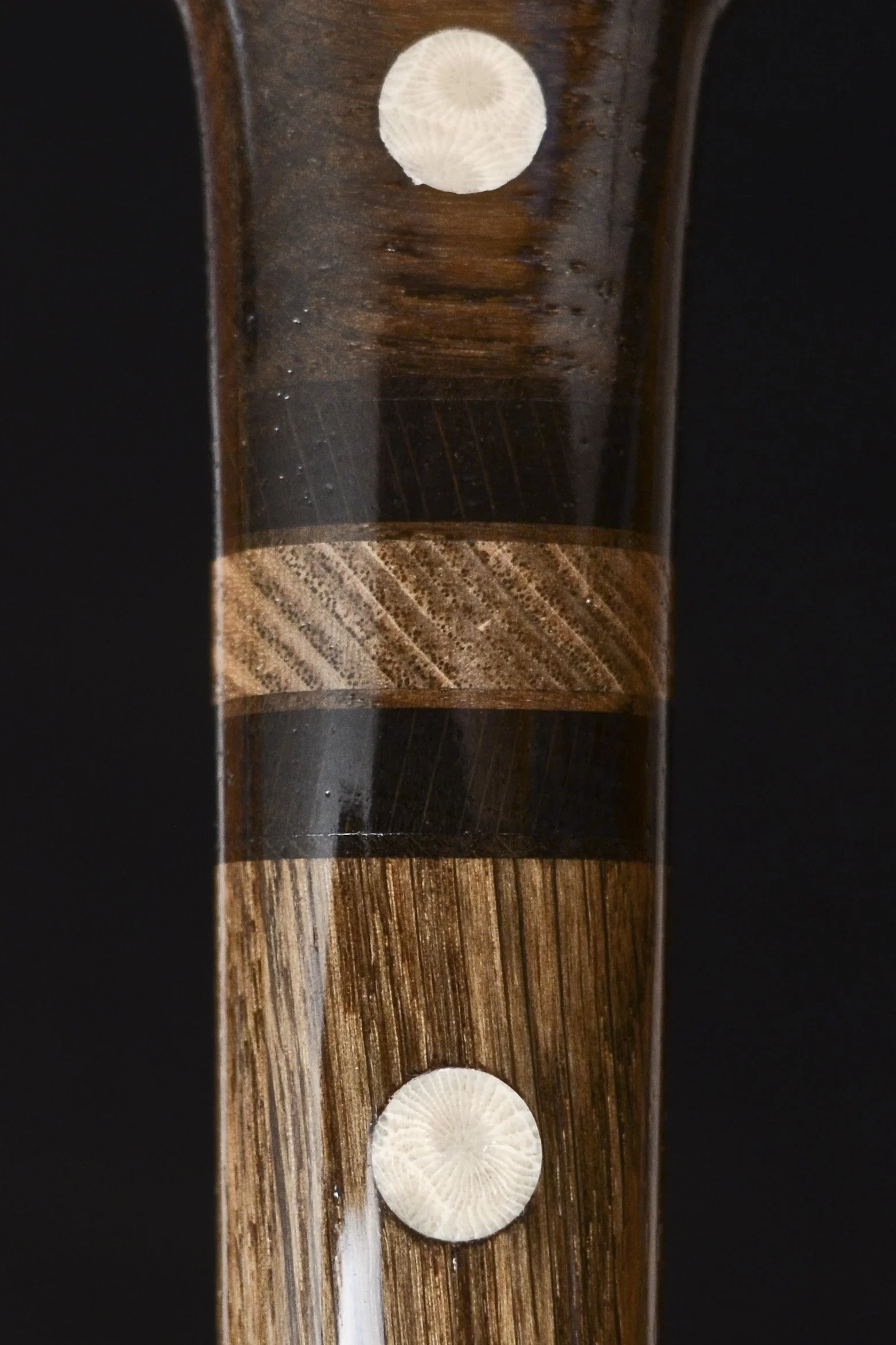 Bog Oak Fossil coral  9.jpg