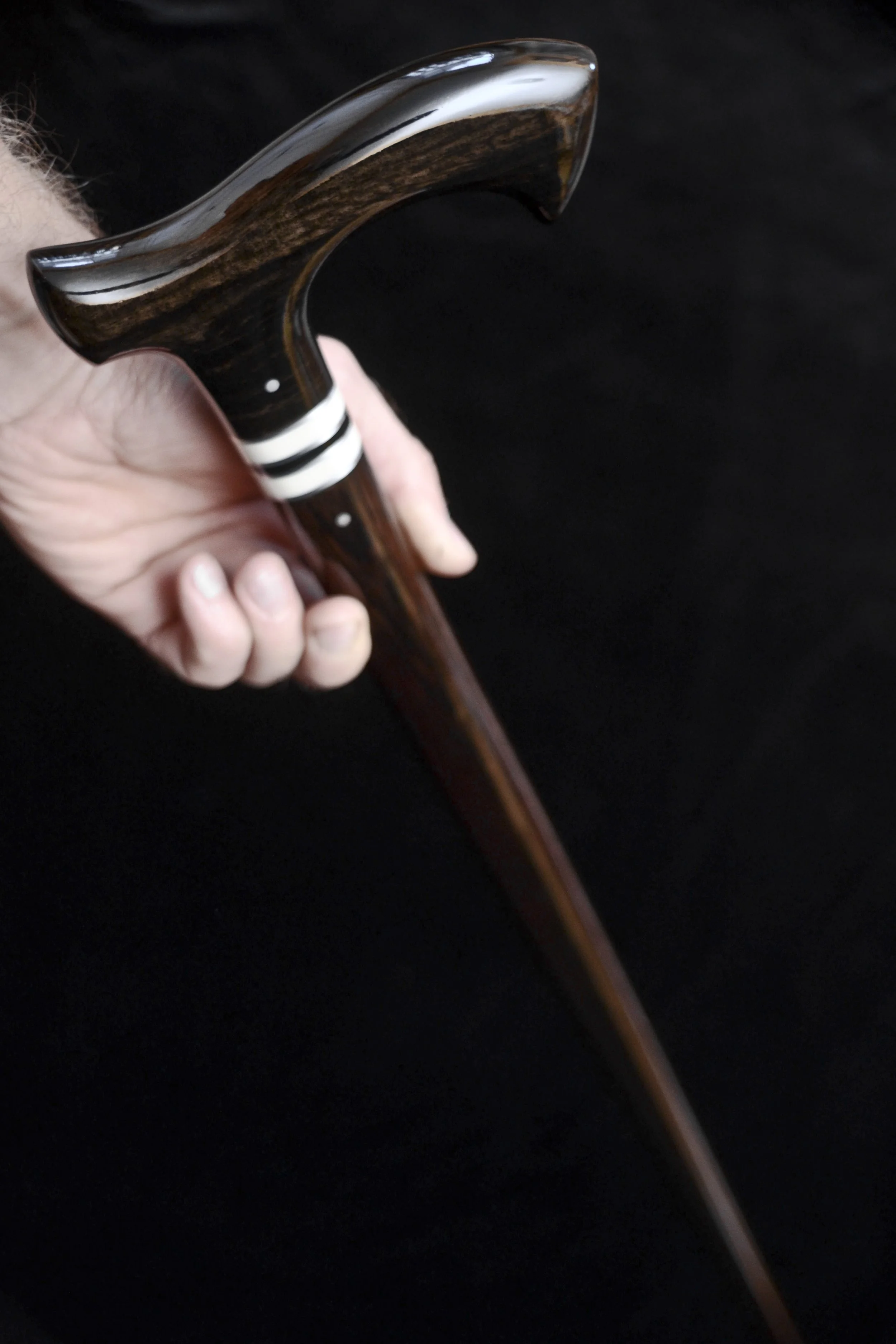 Ebony Wenge 12.jpg