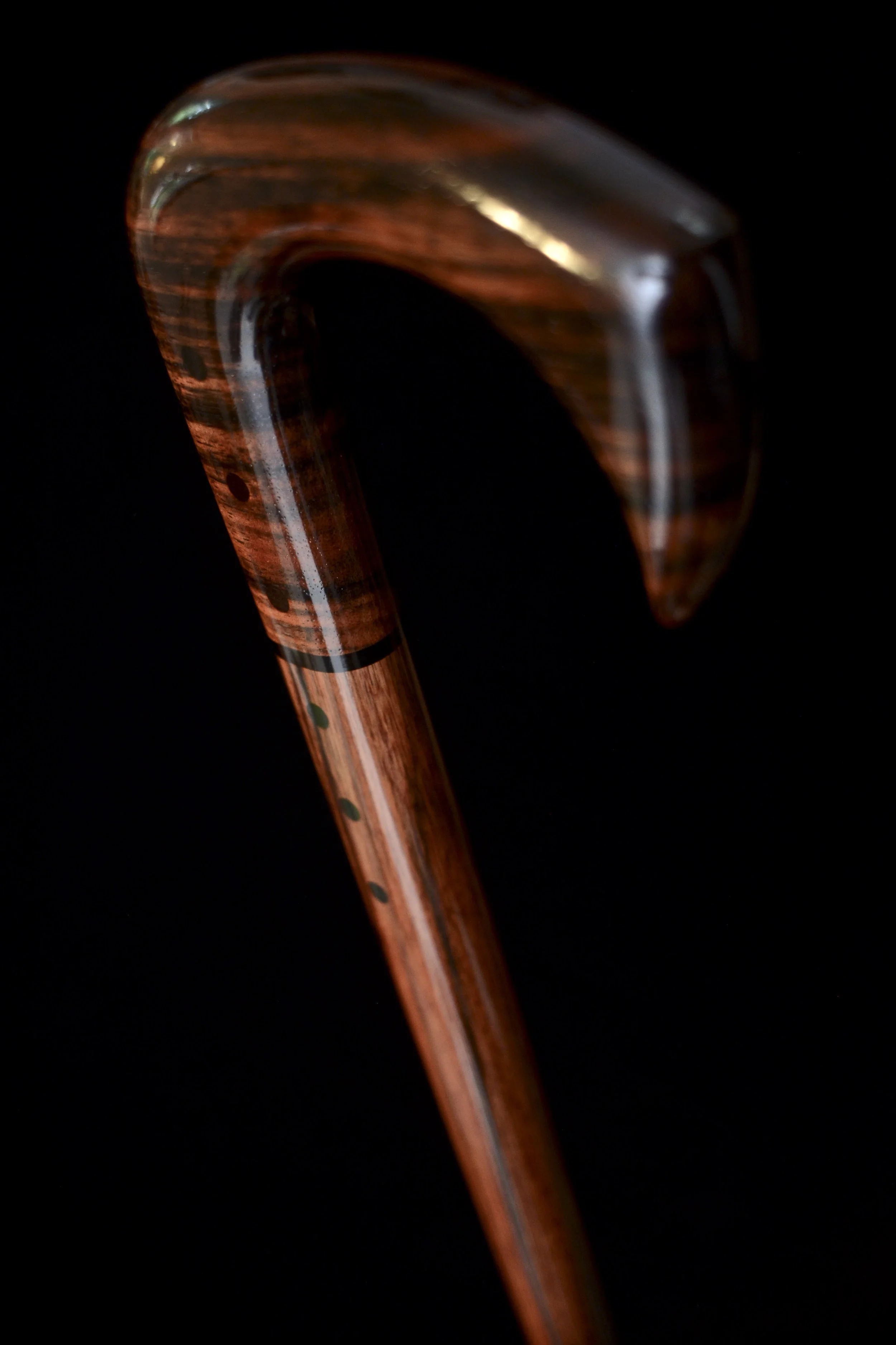 Ebony Talon 4.jpg
