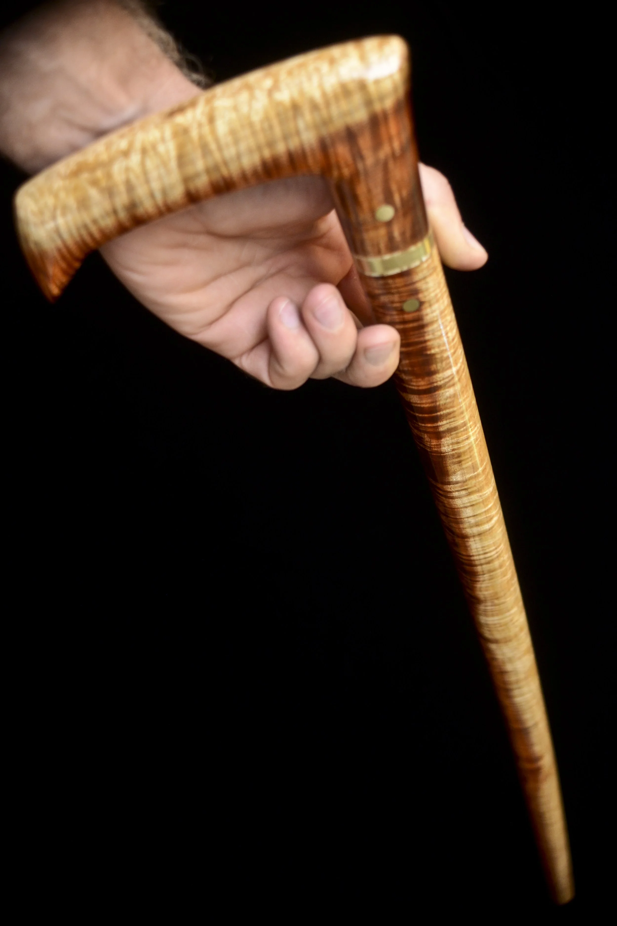 Tasmanian Blackwood 13.jpg