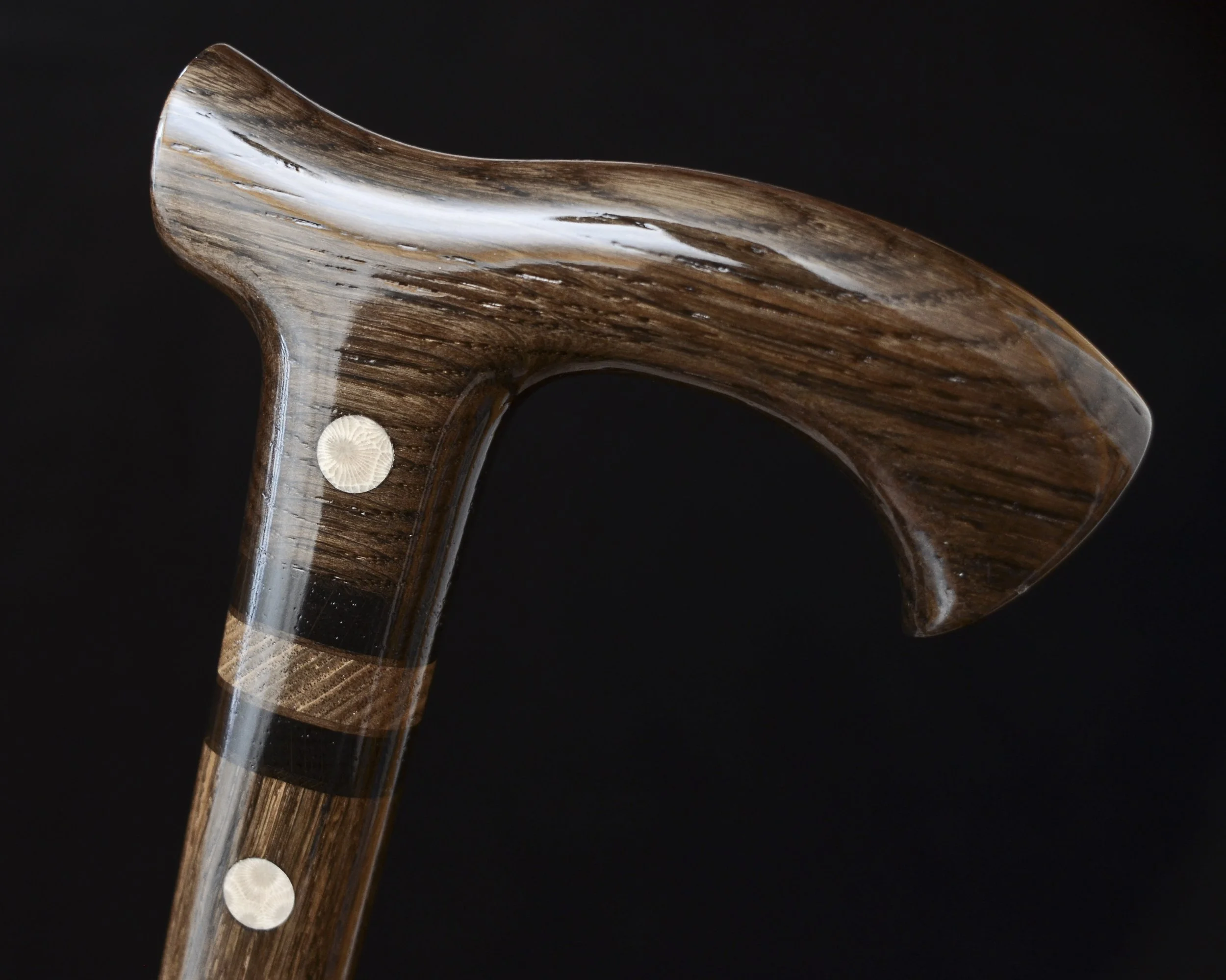 Bog Oak Fossil coral  5.jpg