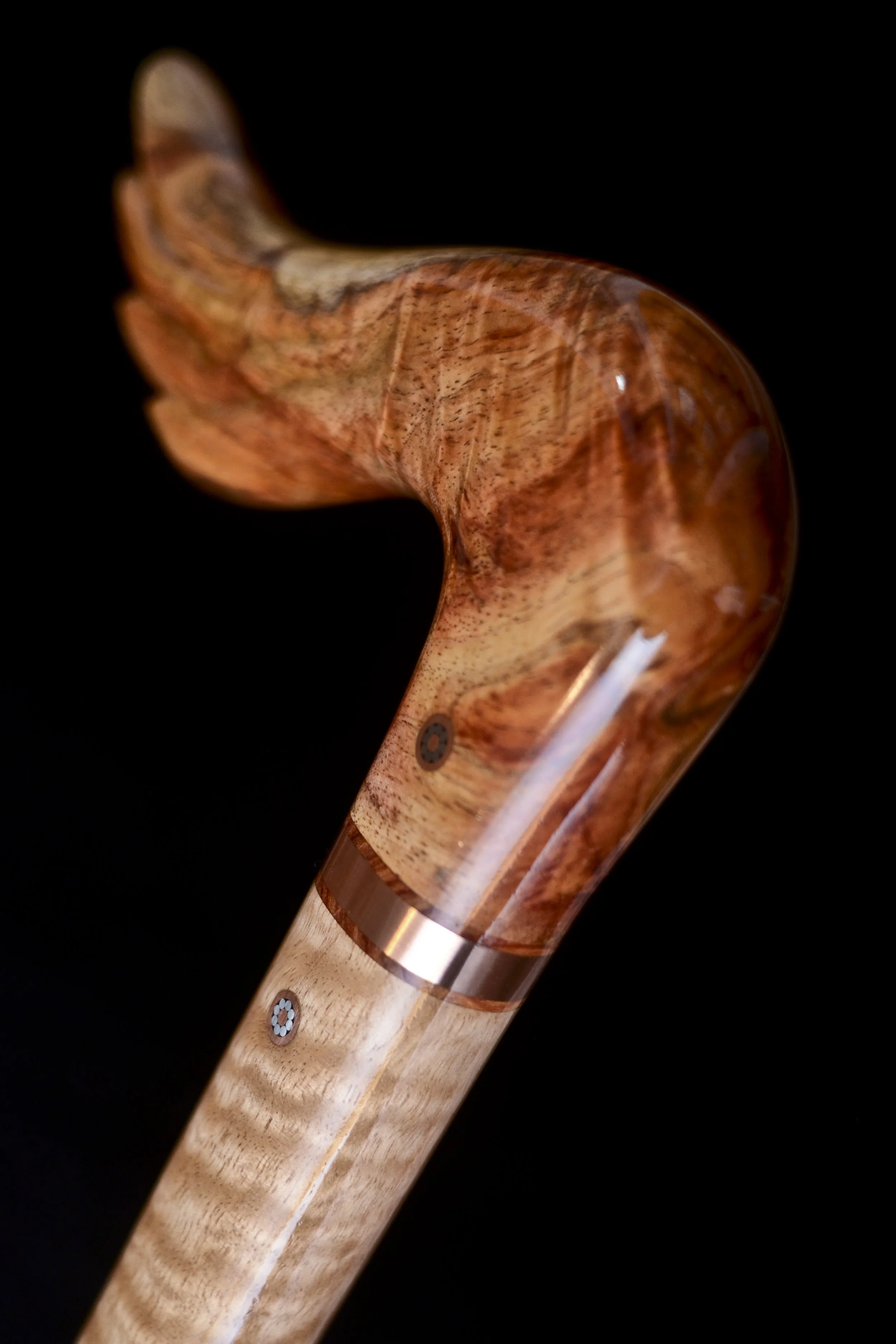 Hainan Rosewood, Eucalyptus 12.jpg