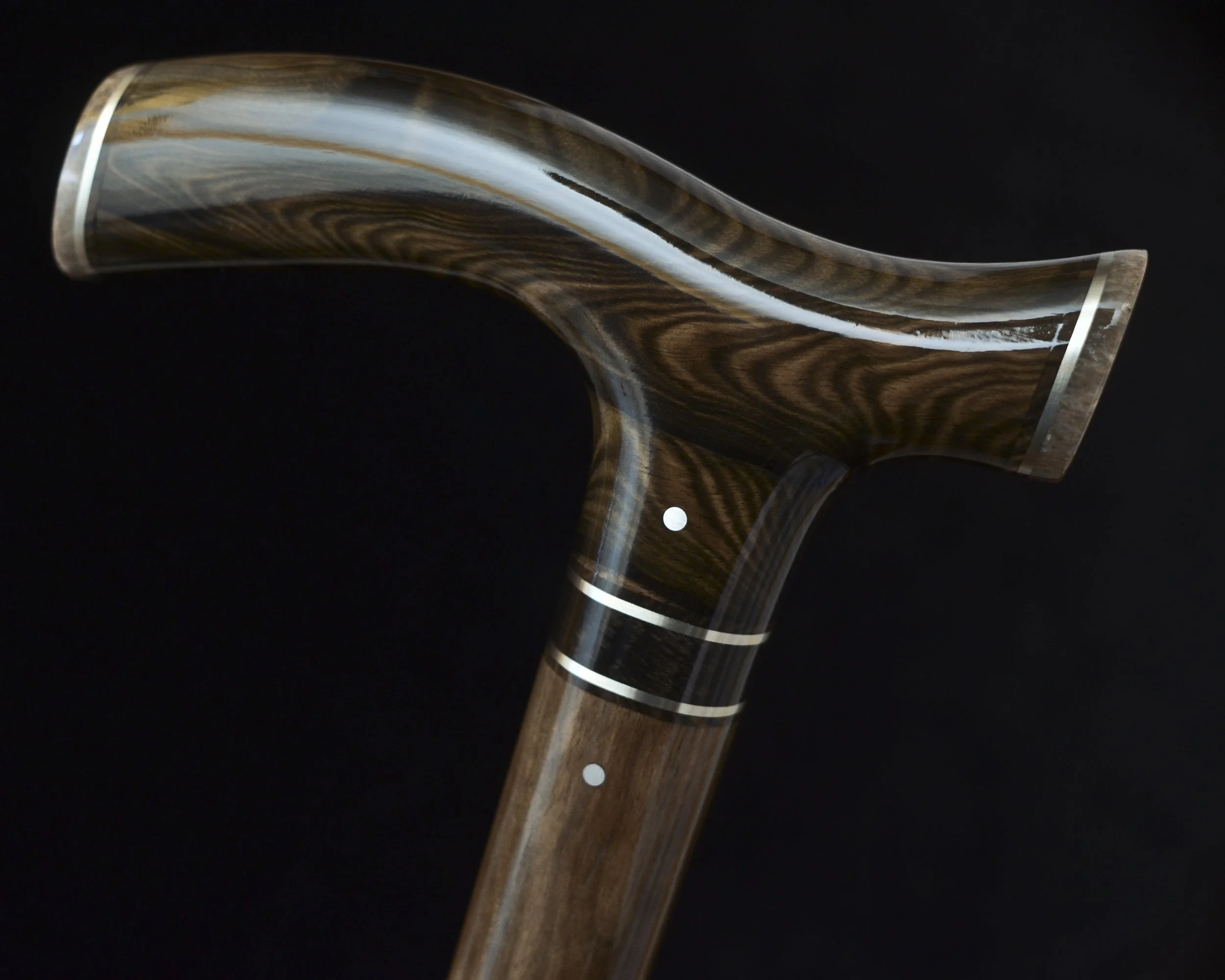 Mun Ebony, Kalimantan Ebony, Dinosaur Bone 8.jpg