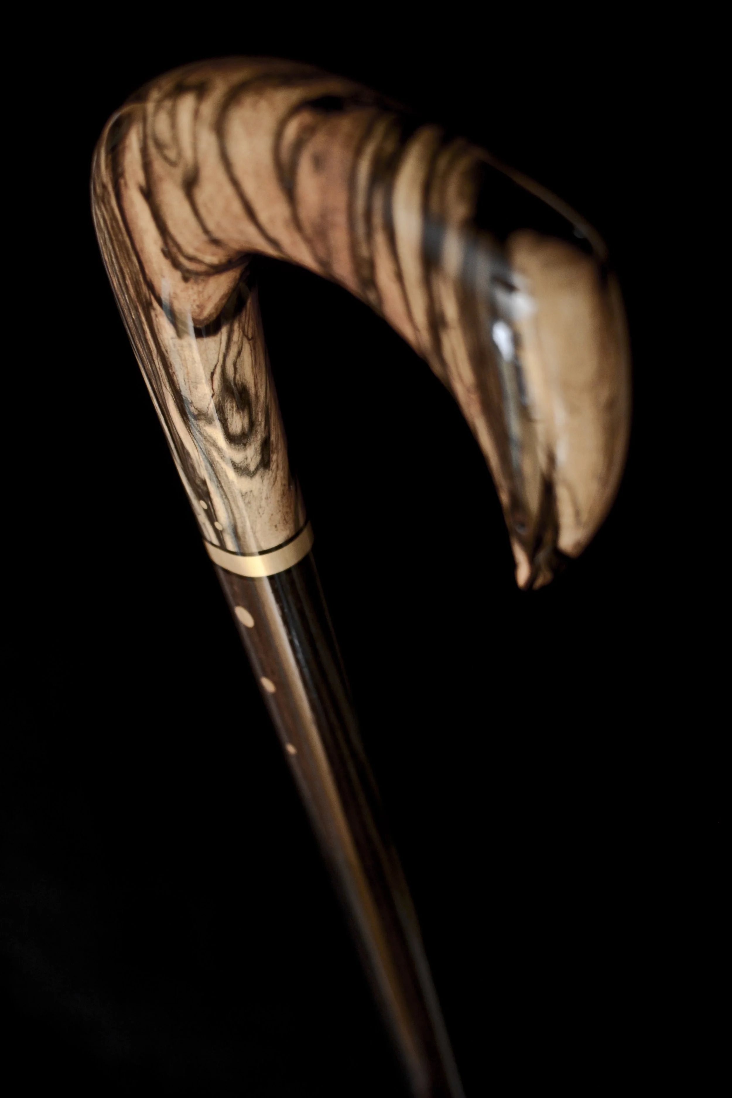 B&W Ebony Claw 4.jpg