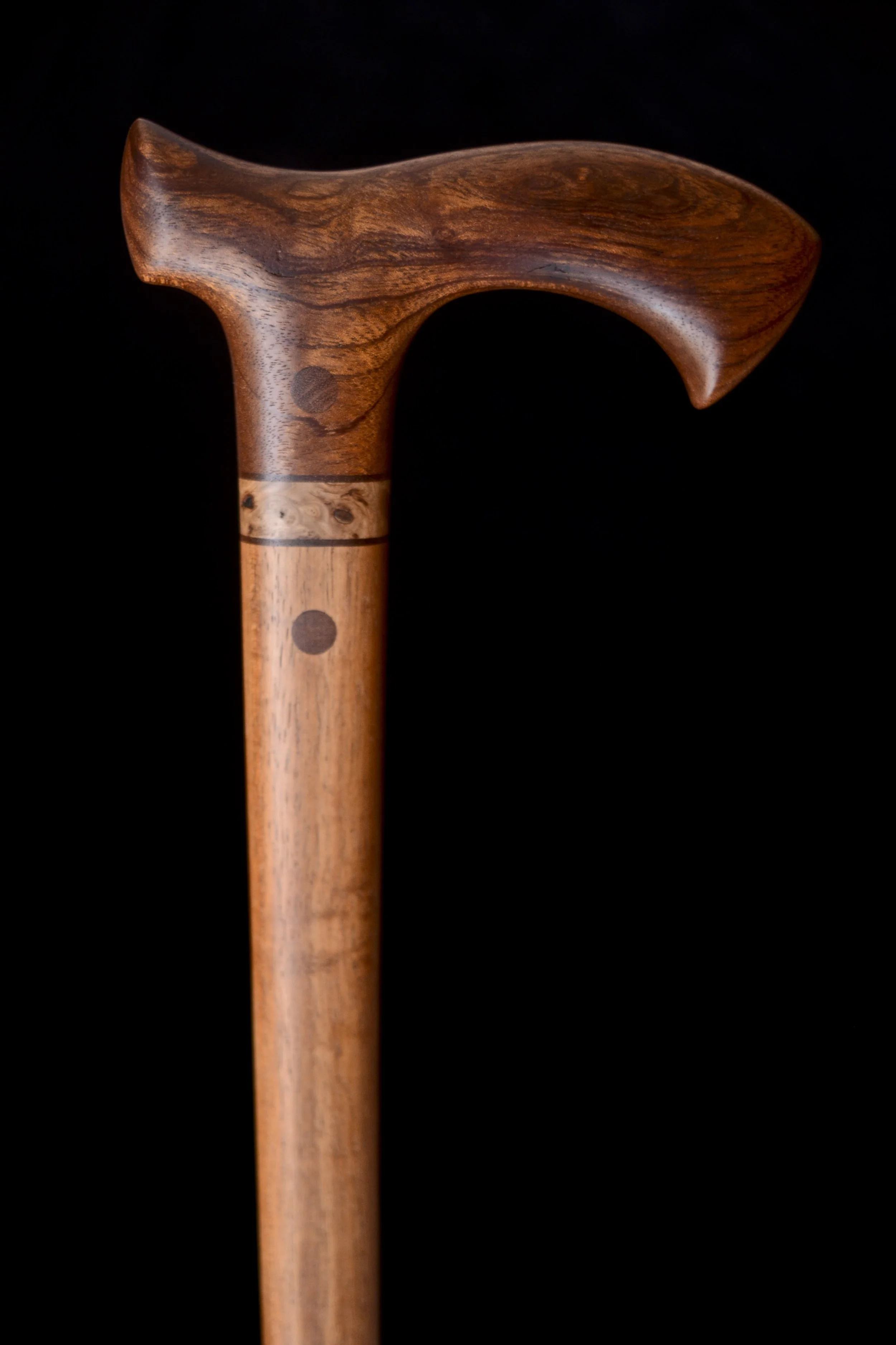Brazilian Mahogany, Tzalam 1.jpg