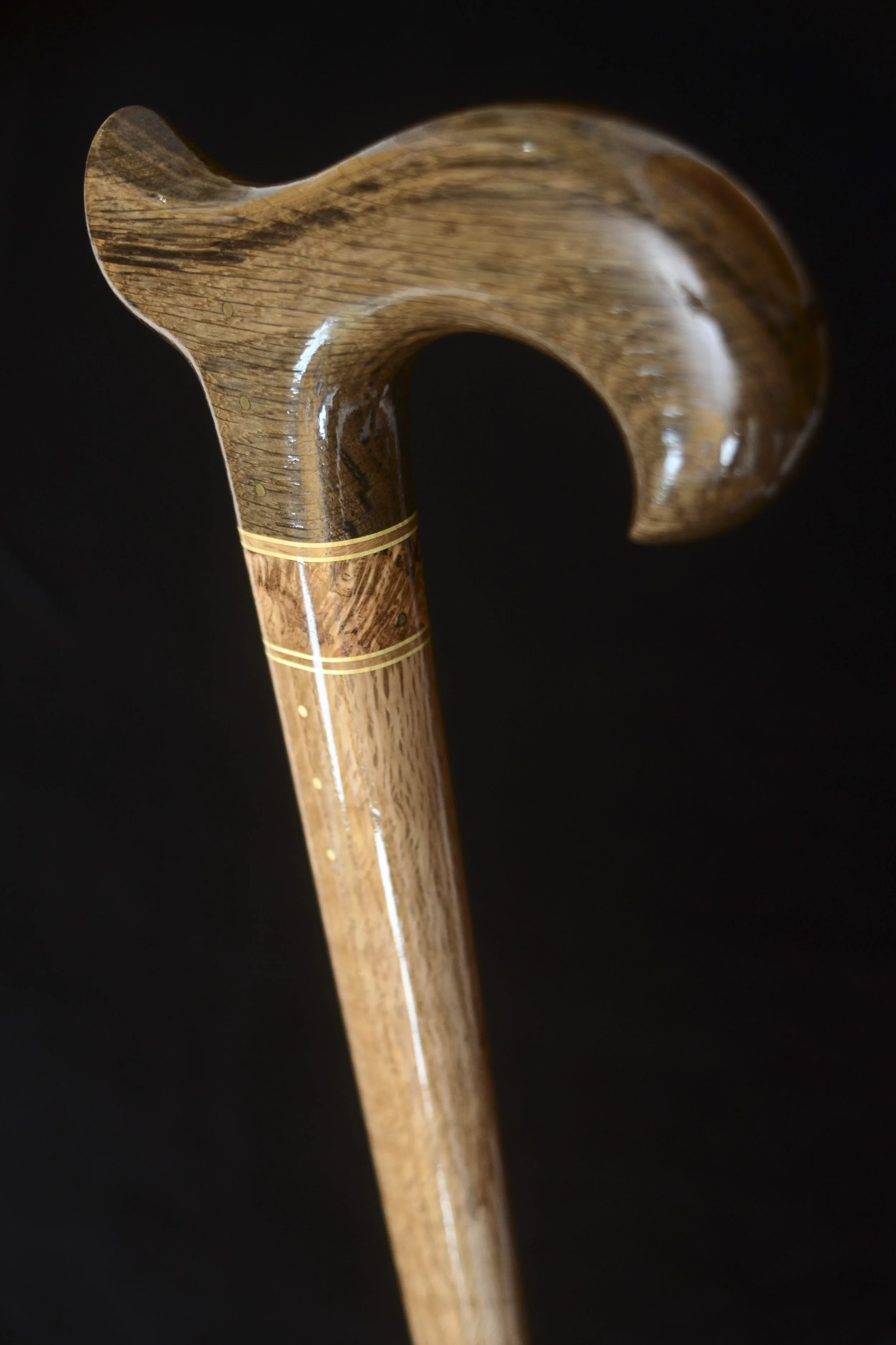 Bog Oak, Oak 3.jpg