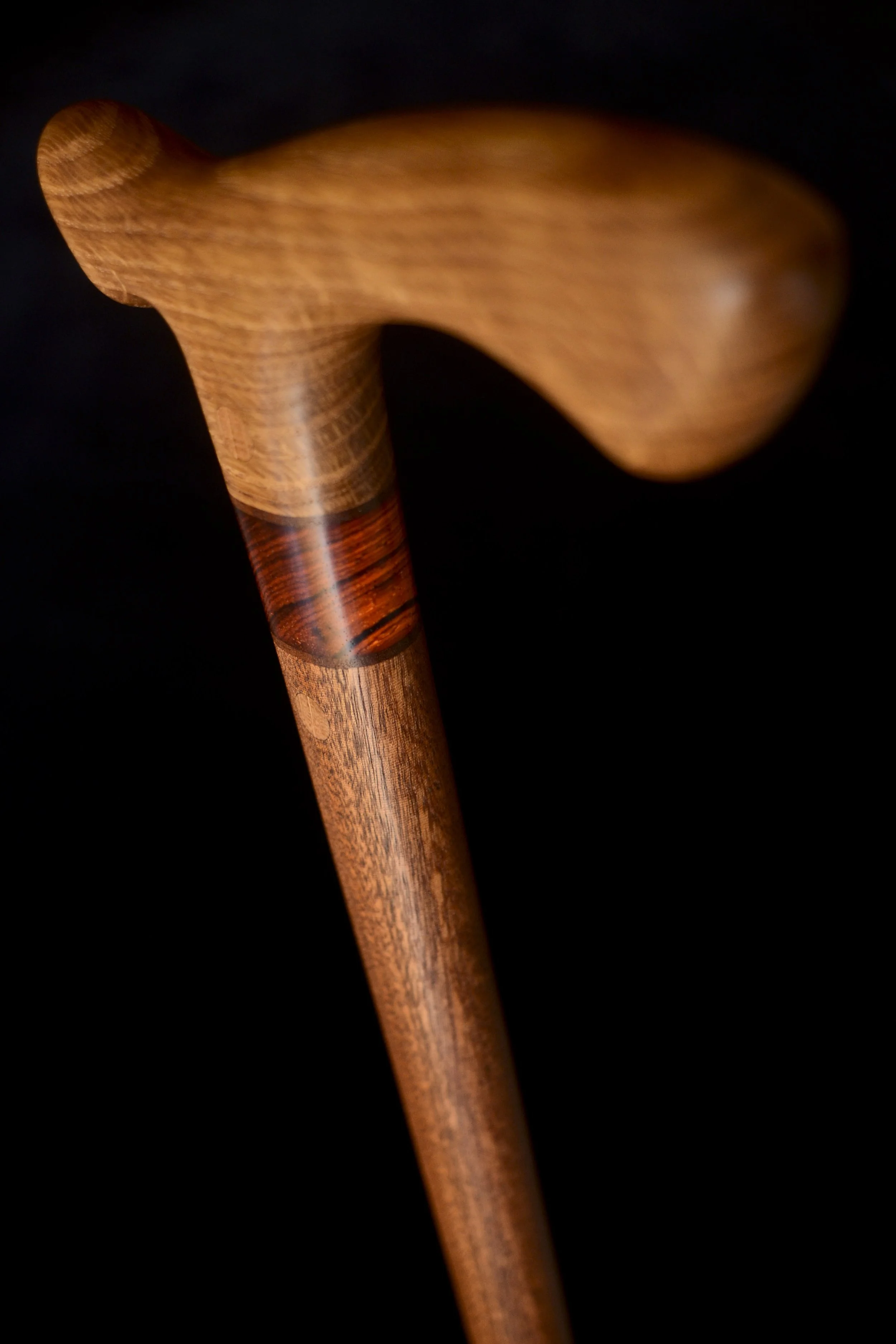 Oak, Sapele 4.jpg
