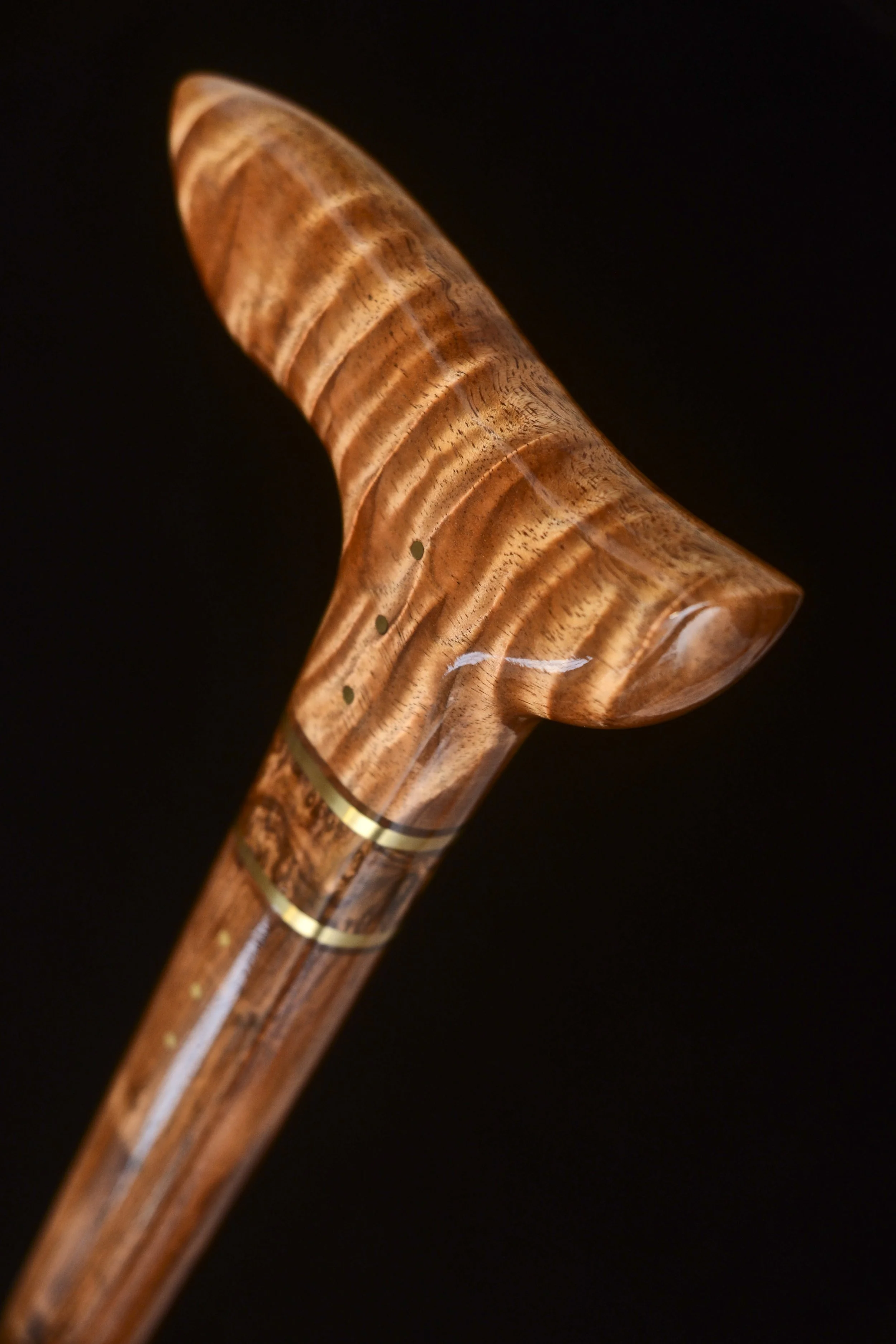 Blackwood, Honduran 3.jpg